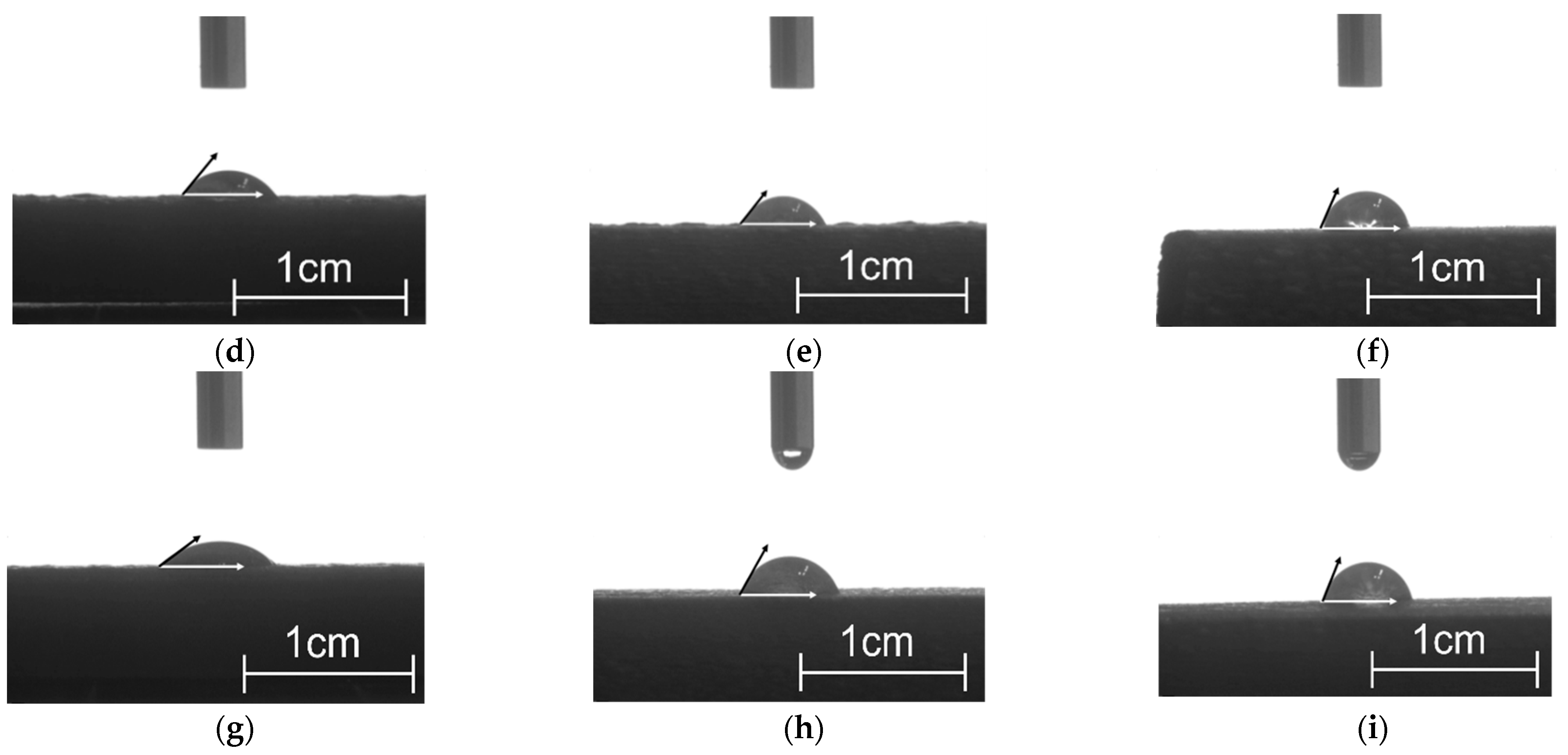 Polymers 15 03697 g003b