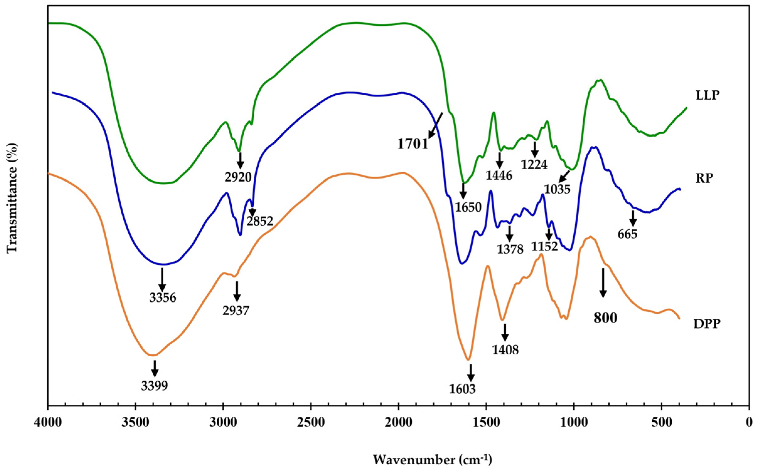Polymers 15 03698 g002