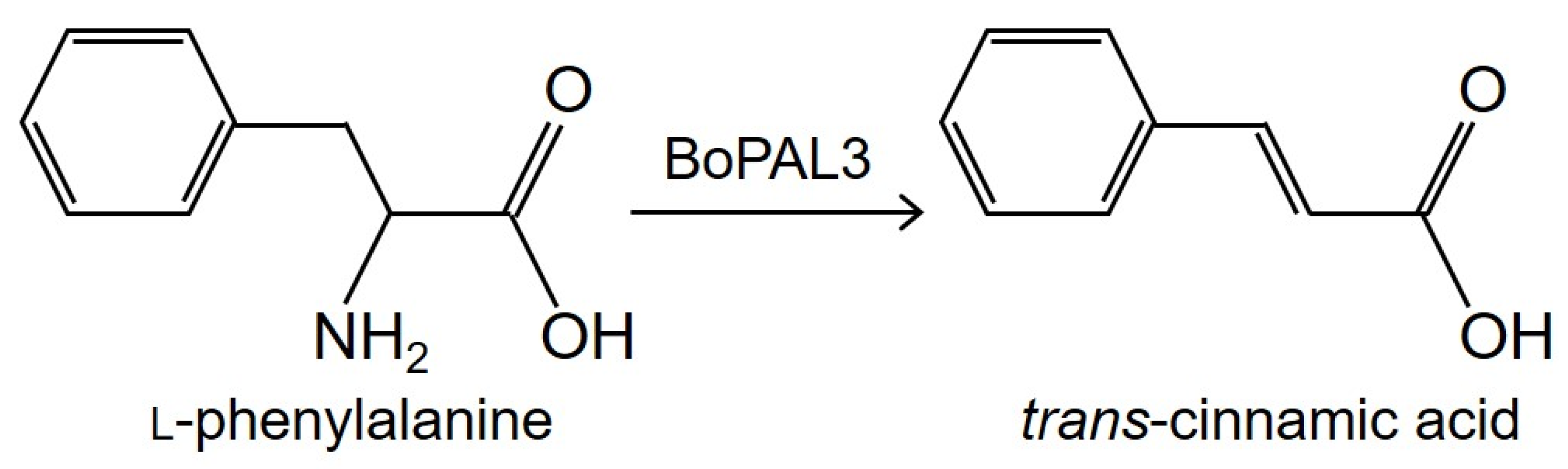 Polymers 15 03699 g001