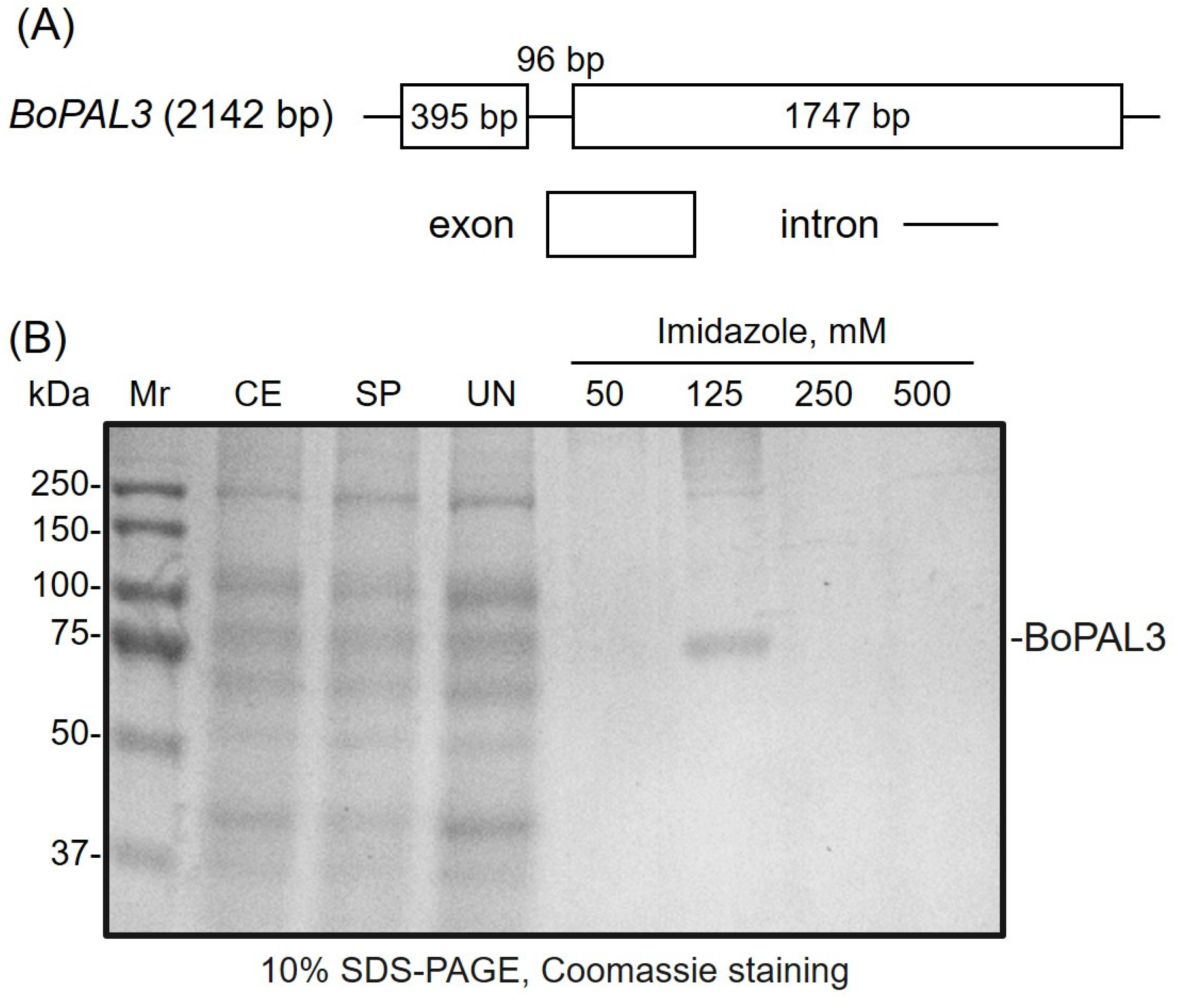 Polymers 15 03699 g002