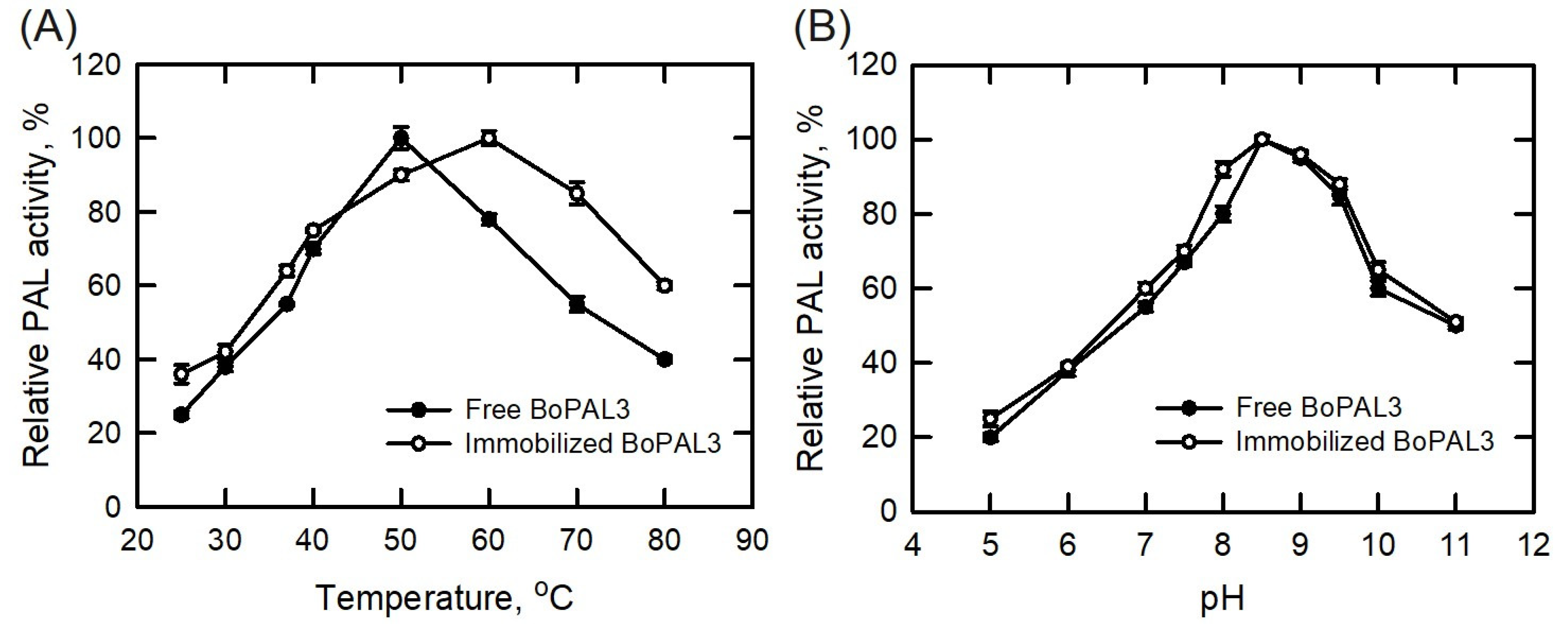 Polymers 15 03699 g004