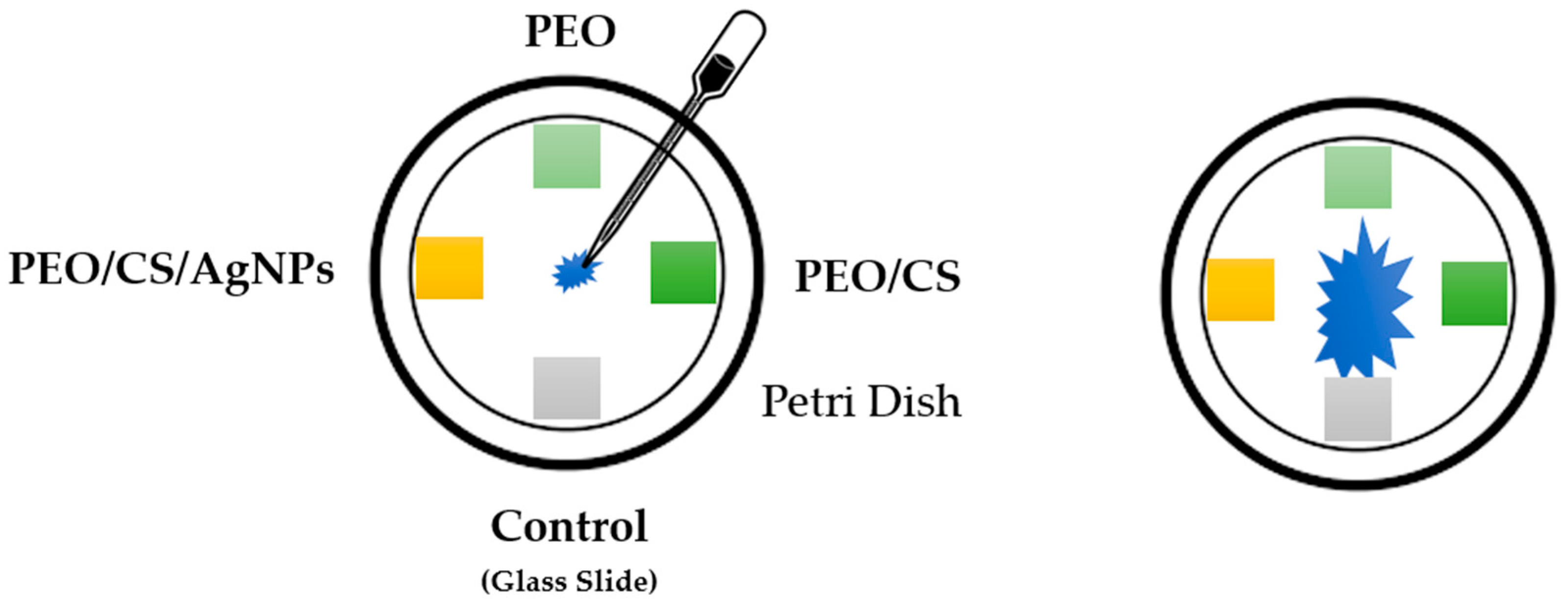 Polymers 15 03700 g002