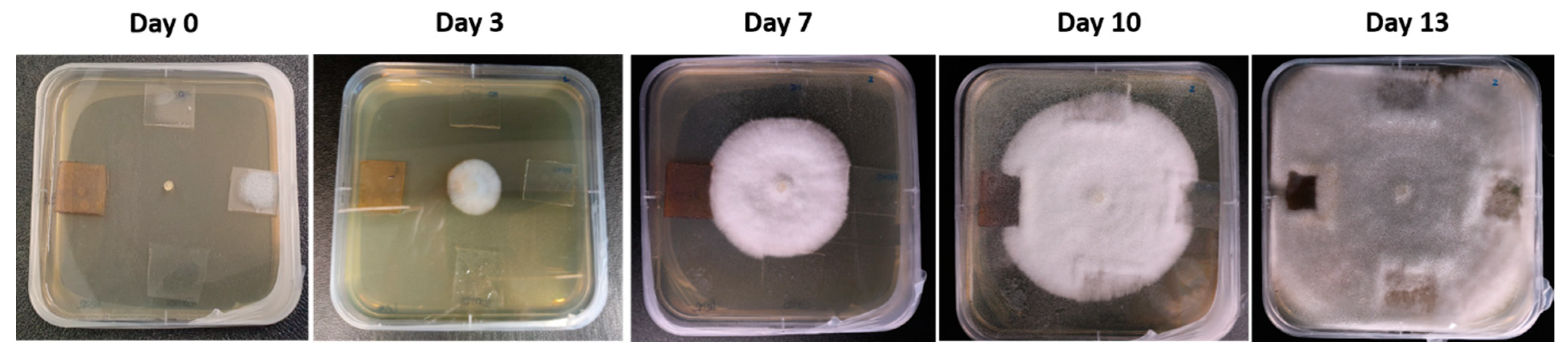 Polymers 15 03700 g012