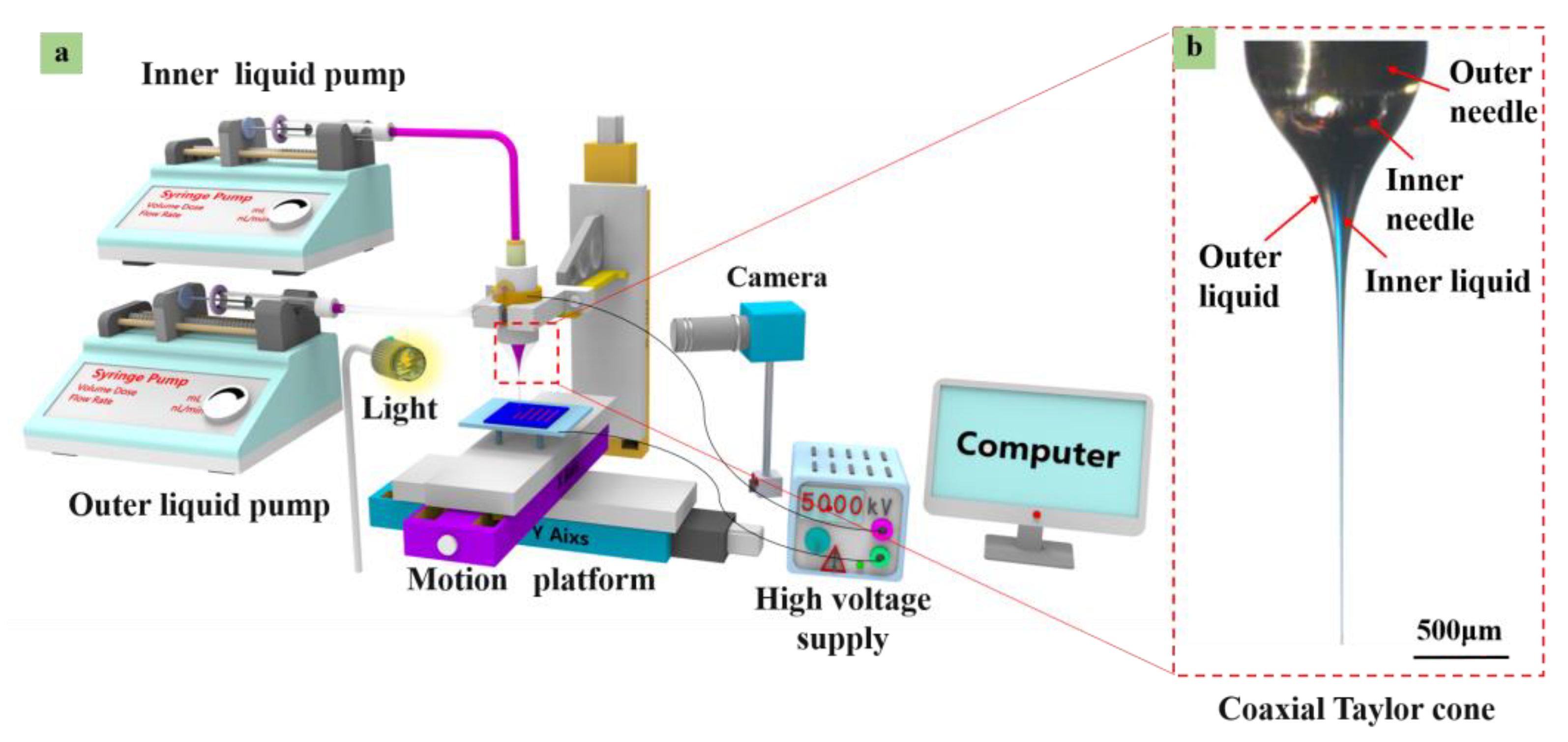 Polymers 15 03702 g001