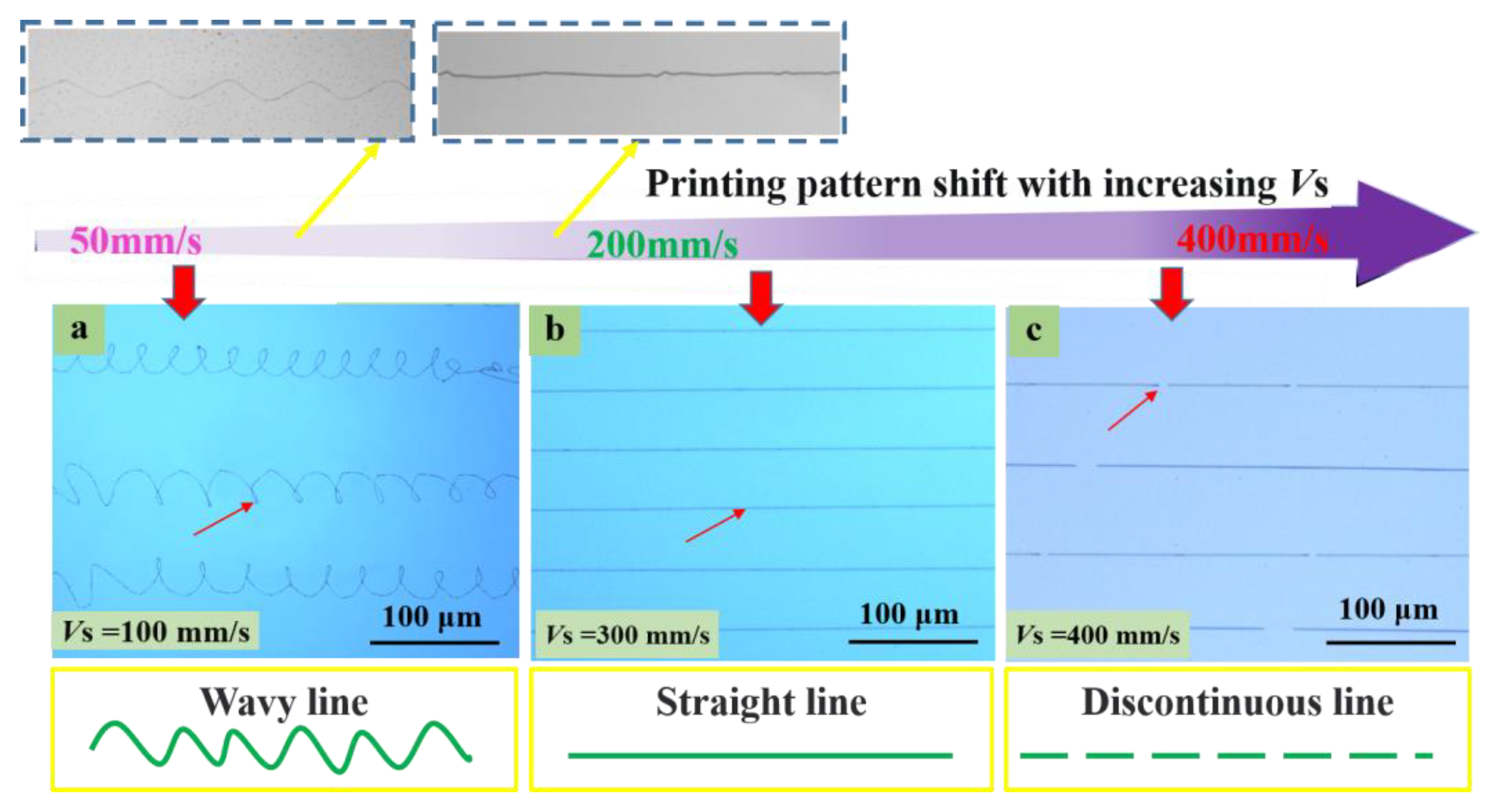 Polymers 15 03702 g007