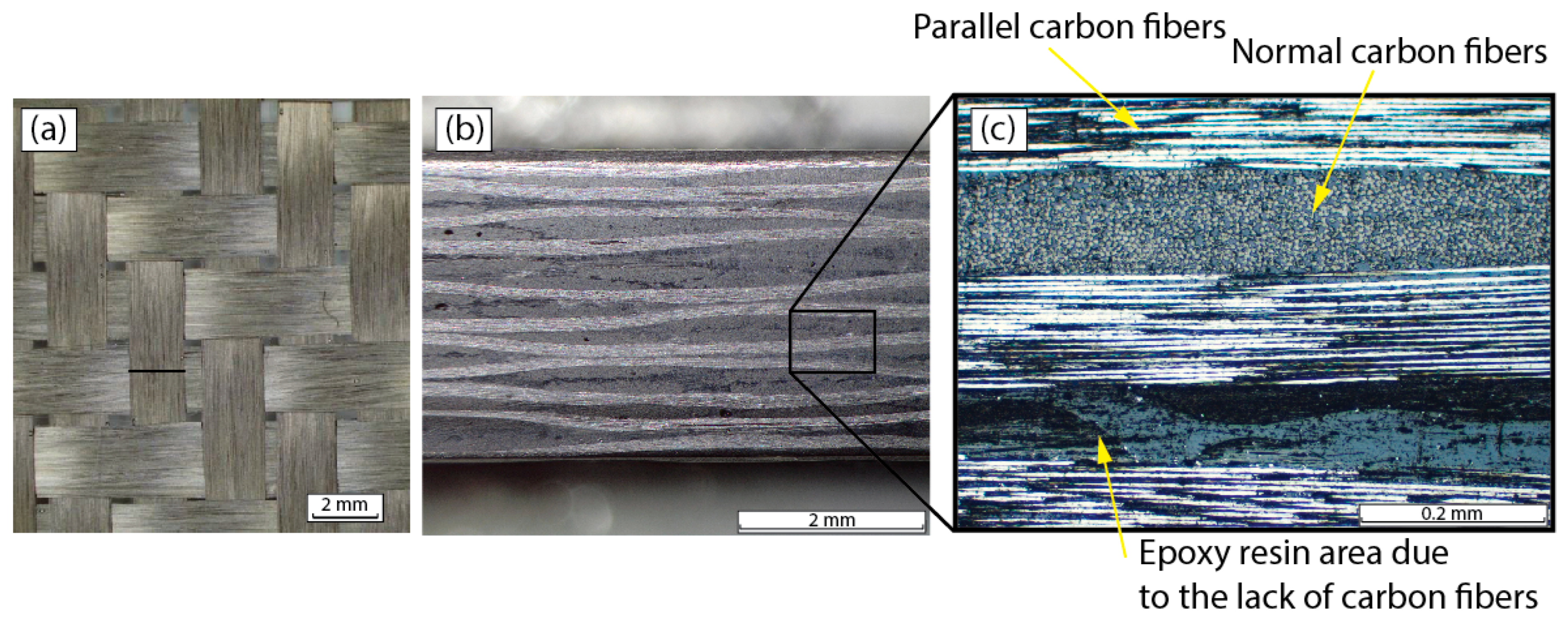 Polymers 15 03710 g001