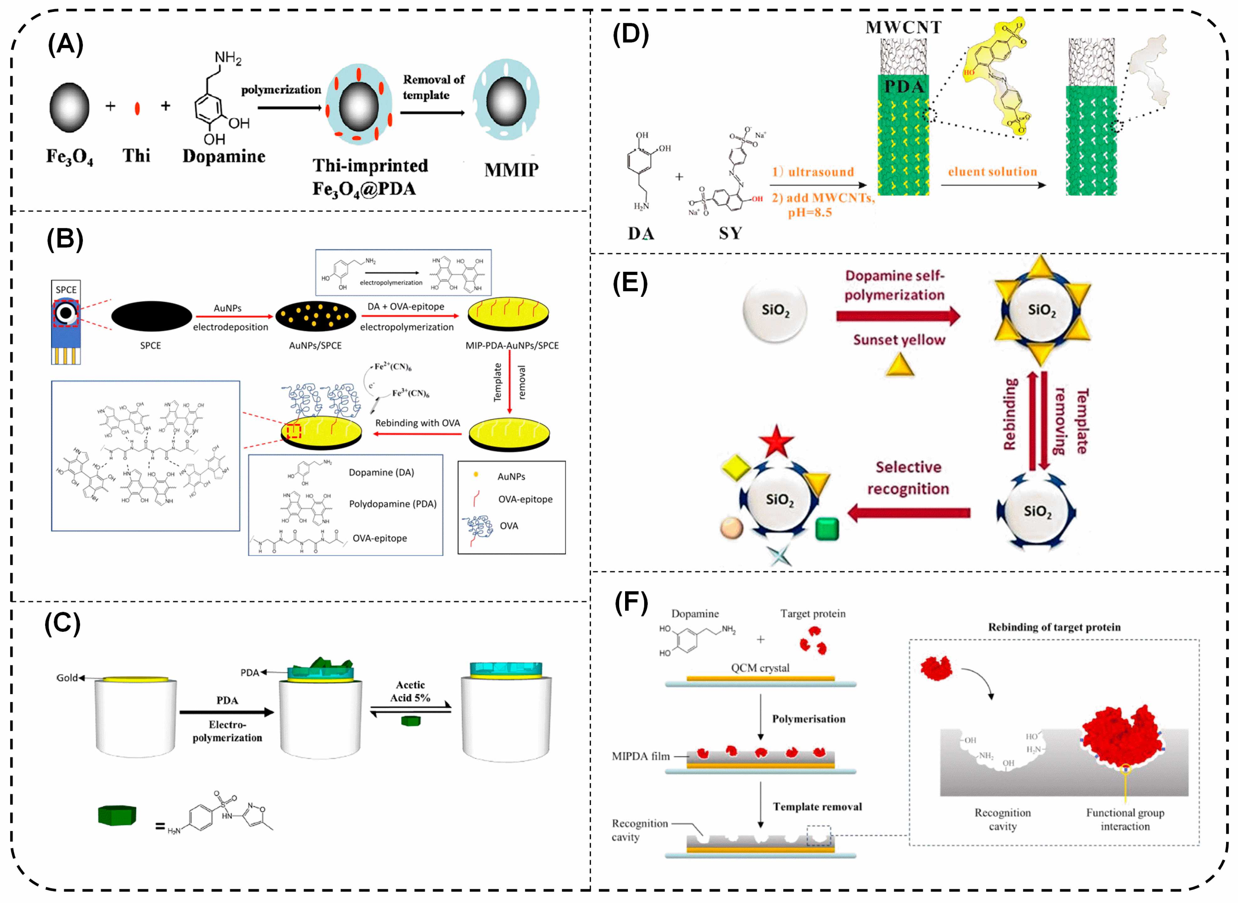 Polymers 15 03712 g001