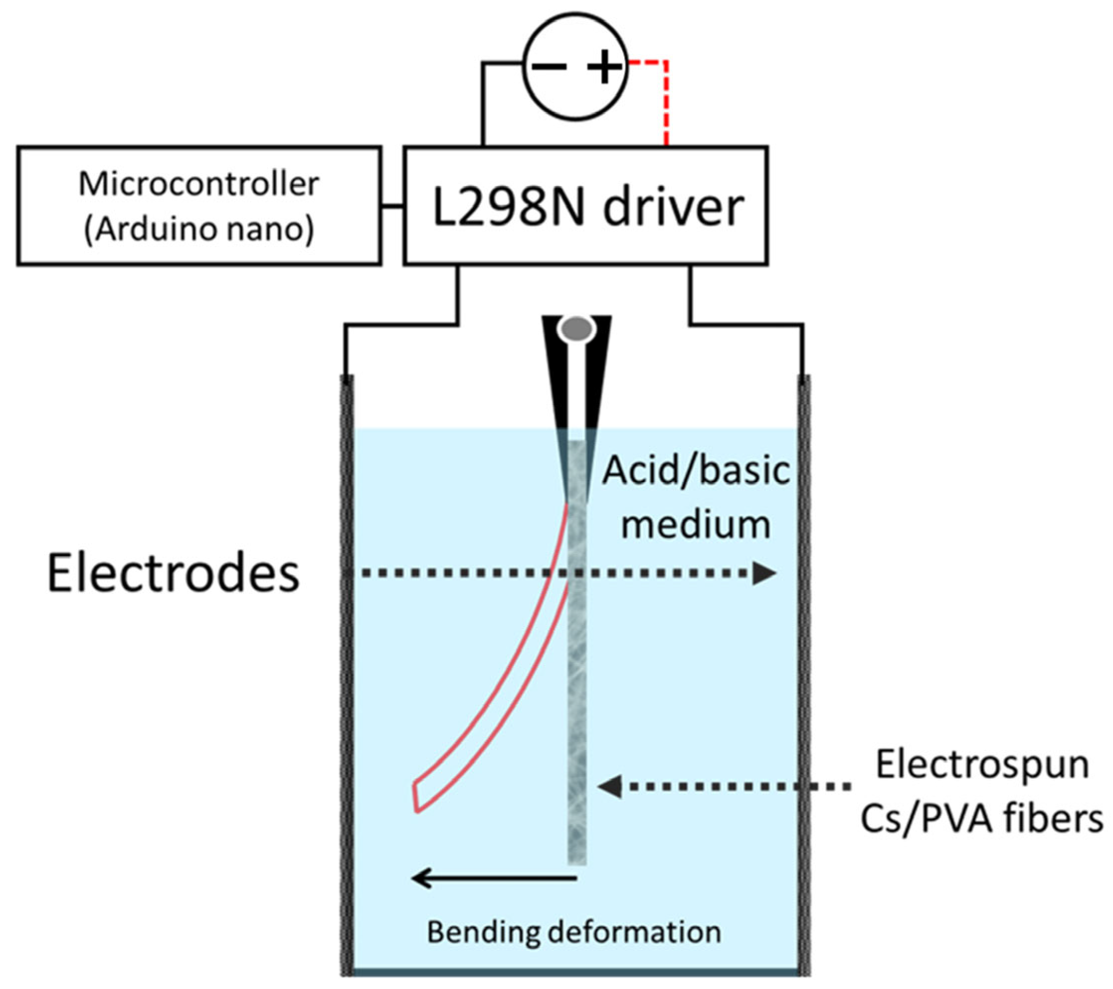 Polymers 15 03719 g001