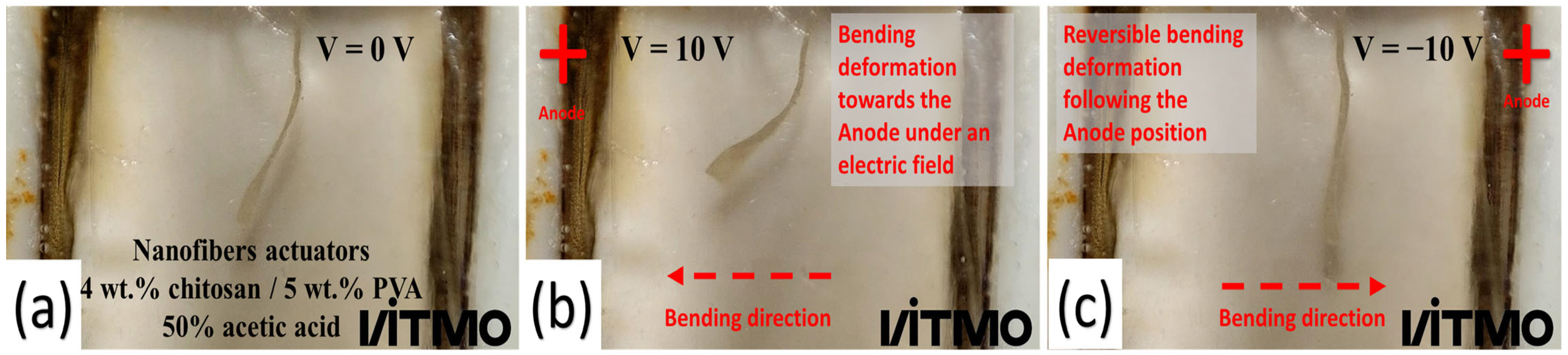 Polymers 15 03719 g008