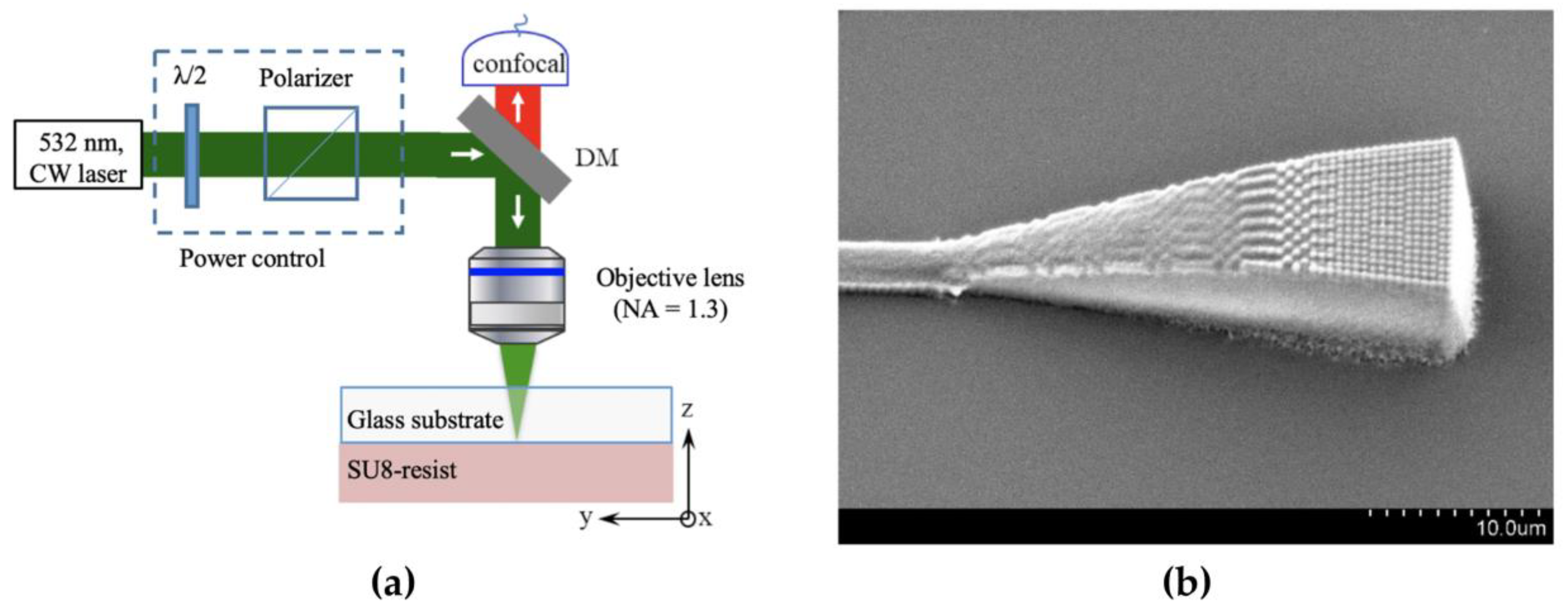 Polymers 15 03721 g014 Polymers 15 03721 g014