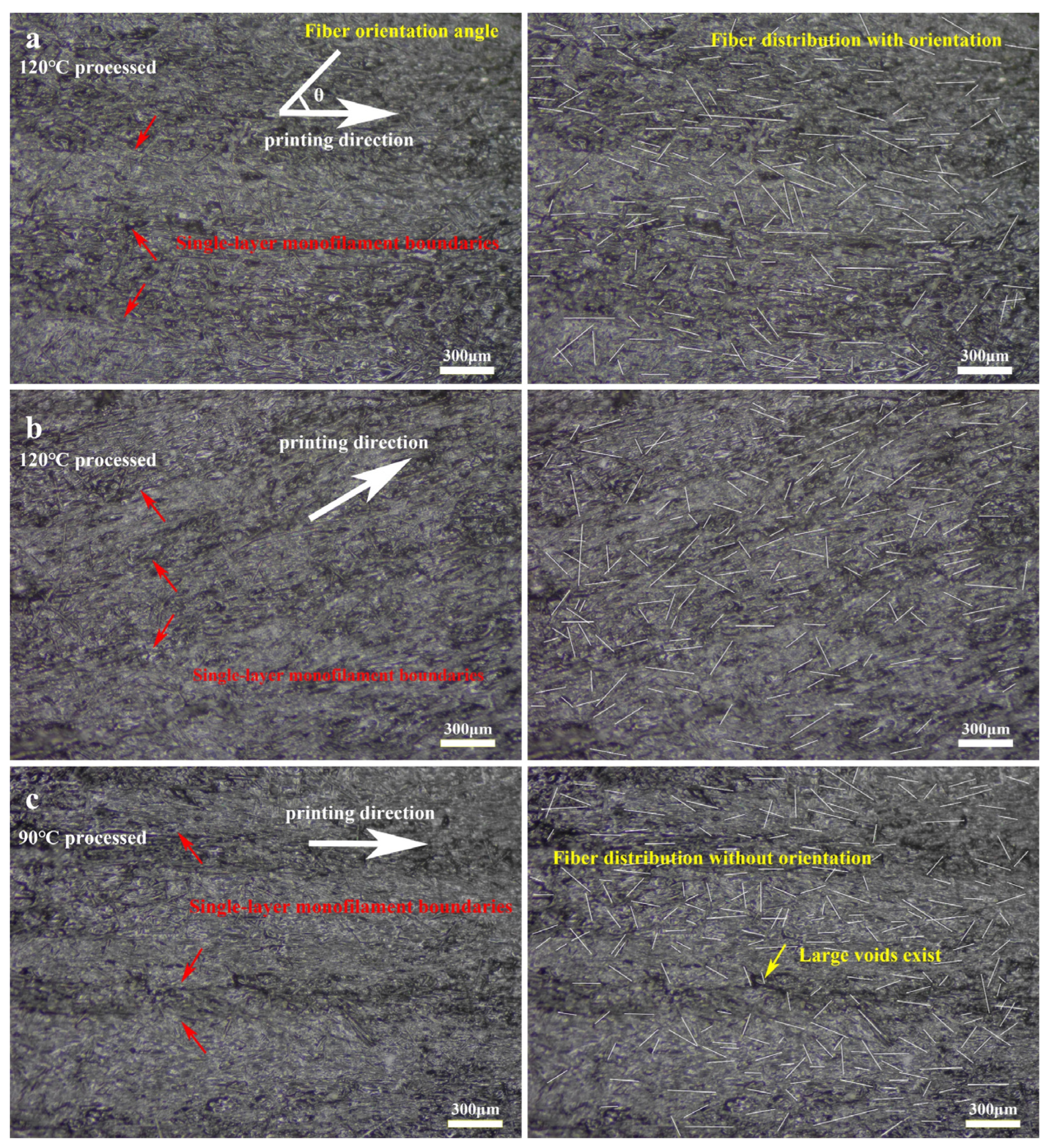 Polymers 15 03722 g007