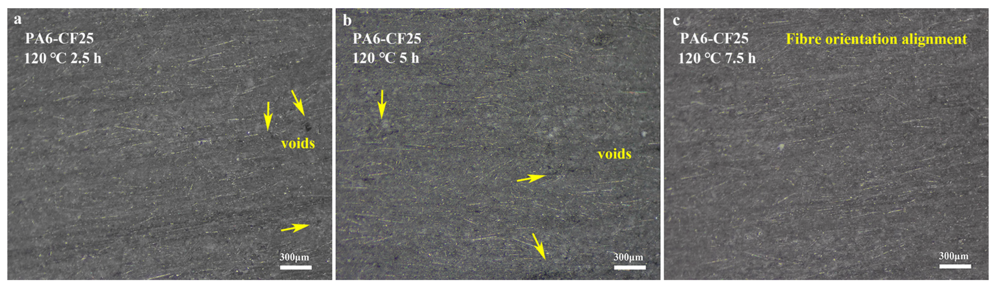 Polymers 15 03722 g008
