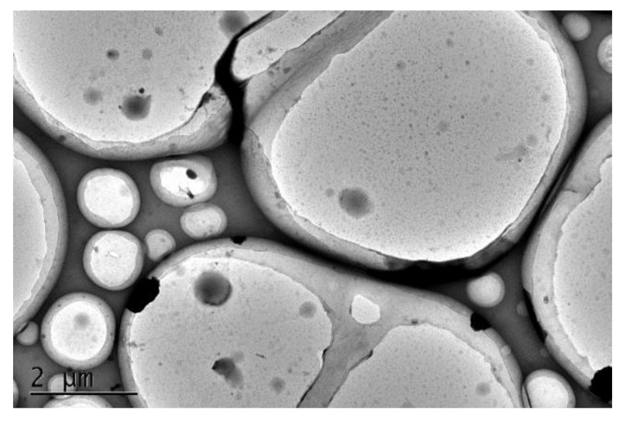 Polymers 15 03725 g005