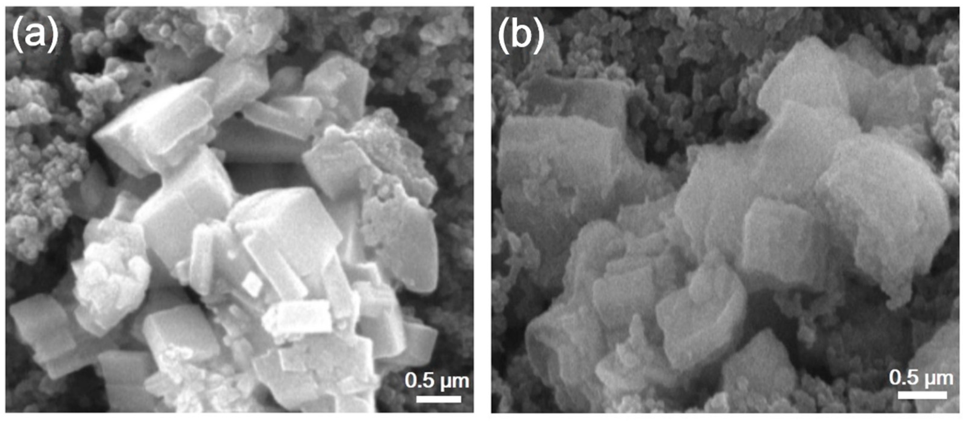 Polymers 15 03728 g005