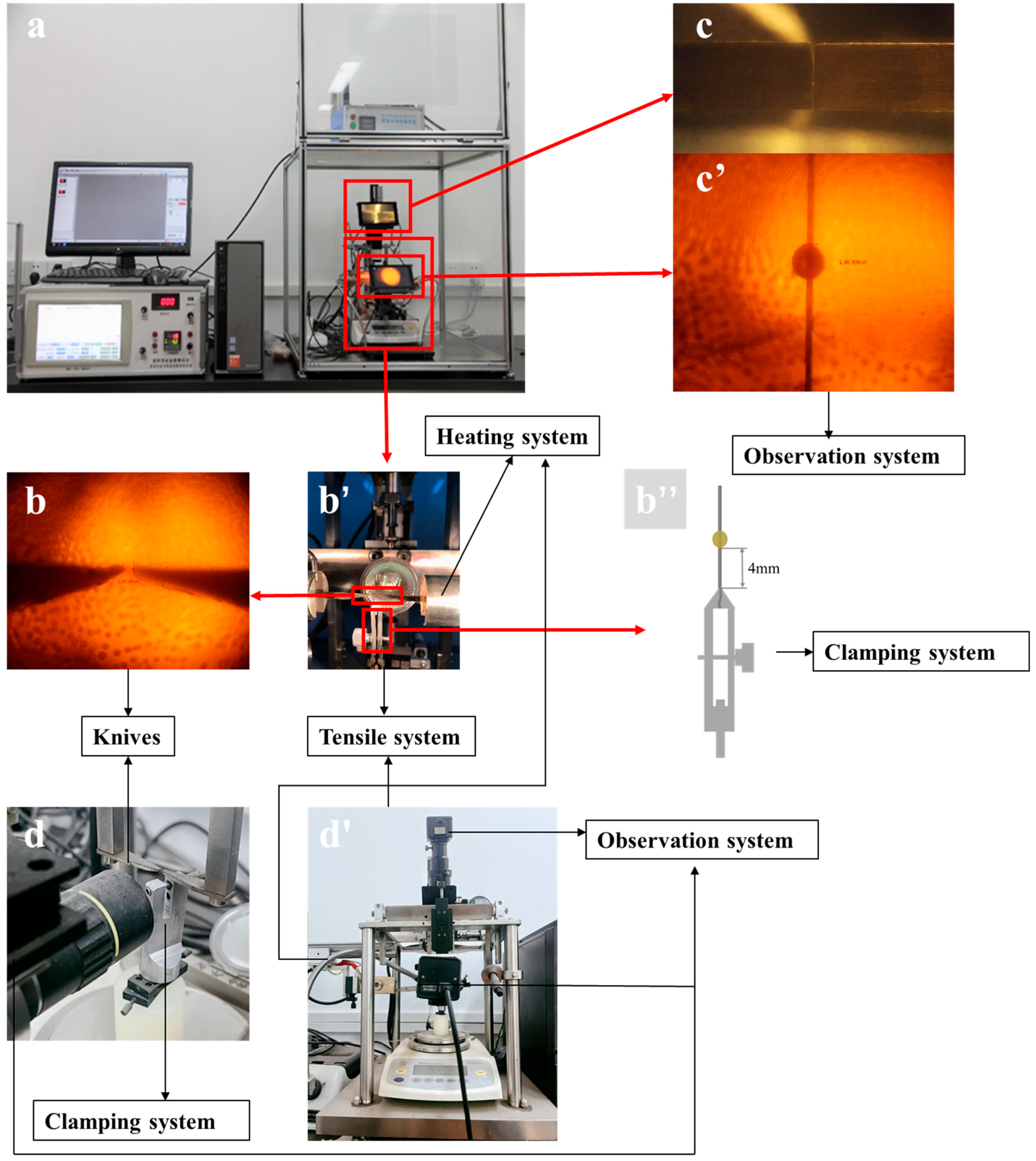 Polymers 15 03749 g001