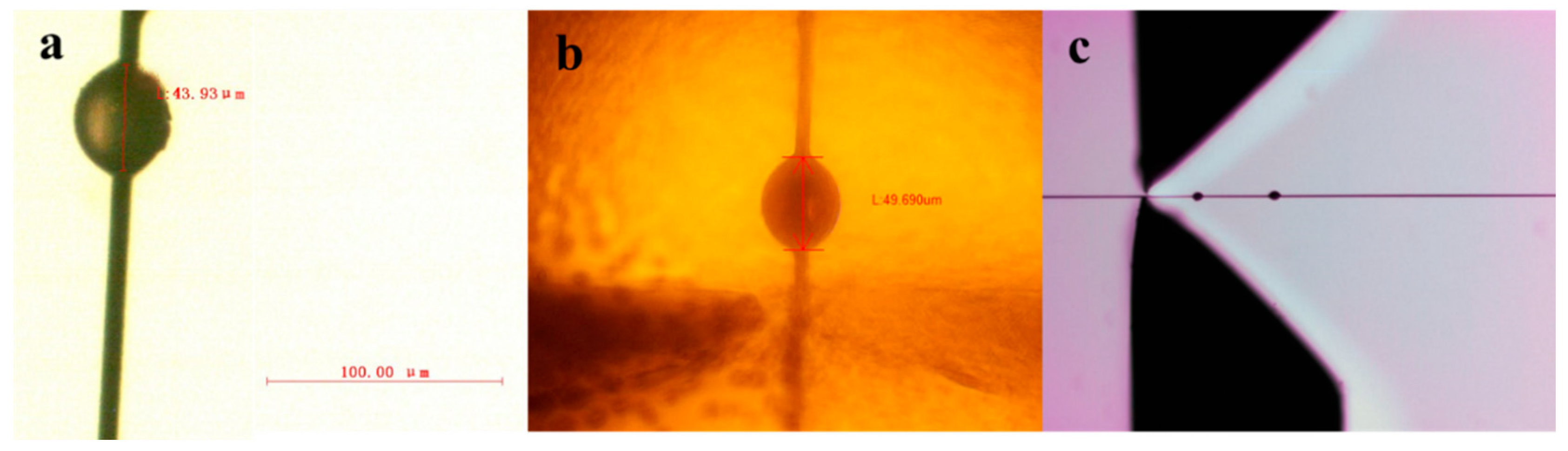 Polymers 15 03749 g005