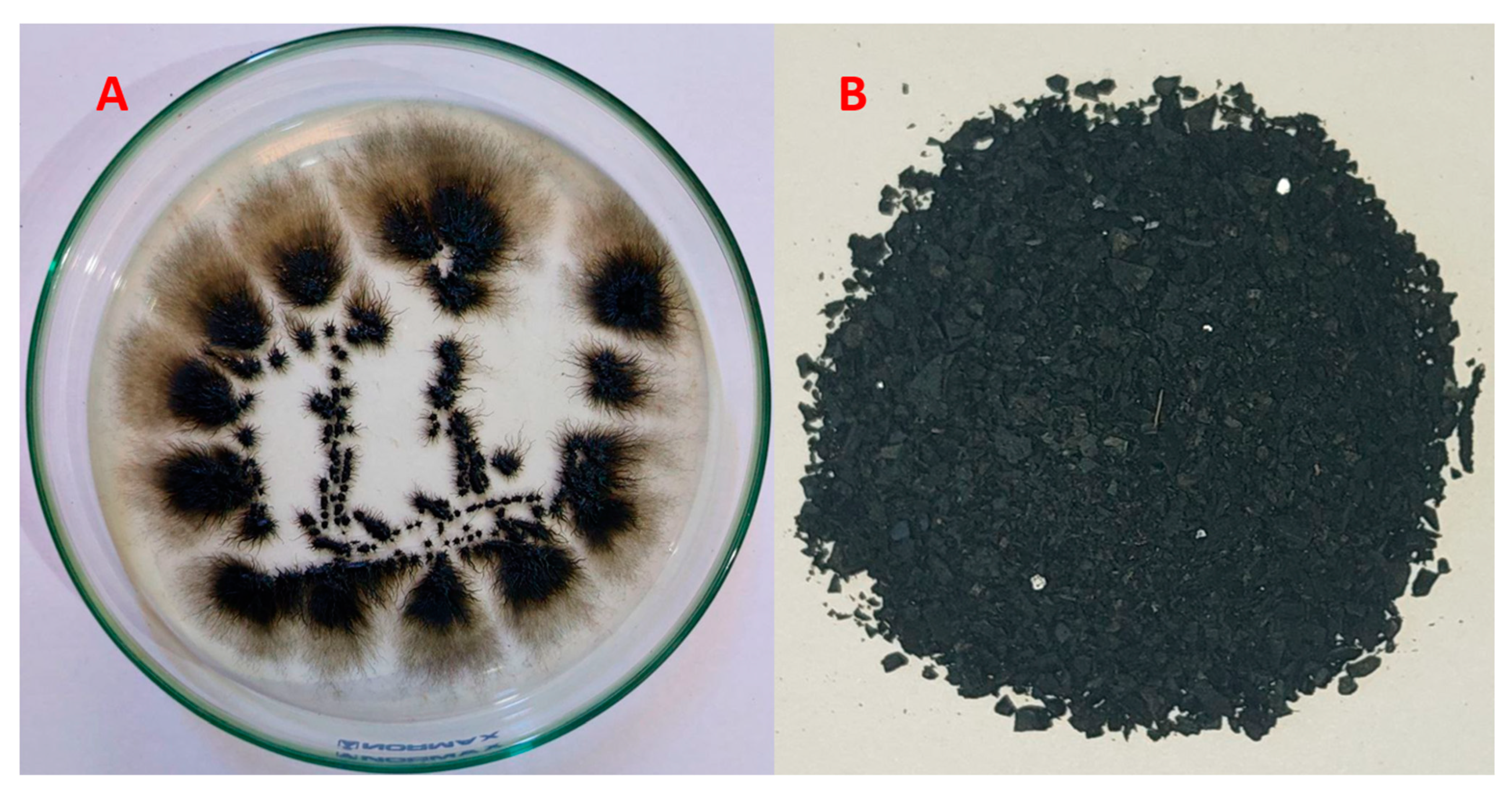 Polymers 15 03754 g001