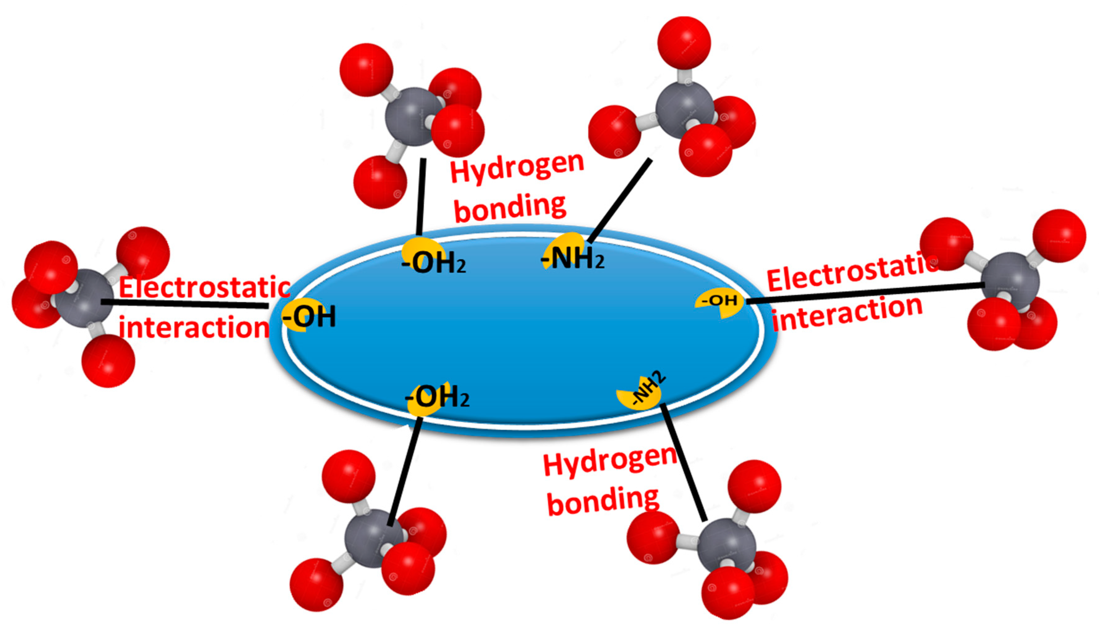 Polymers 15 03754 g012