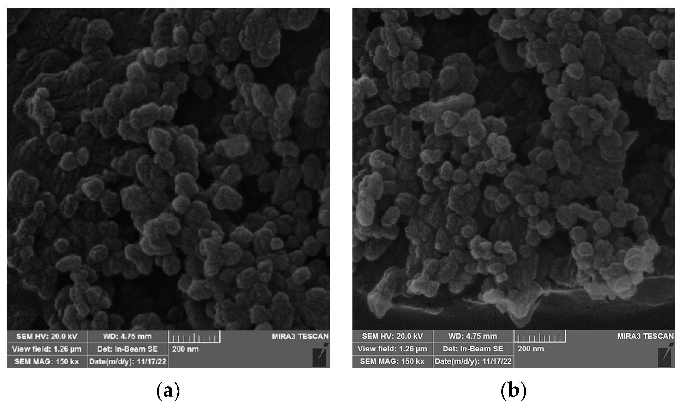 Polymers 15 03756 g006