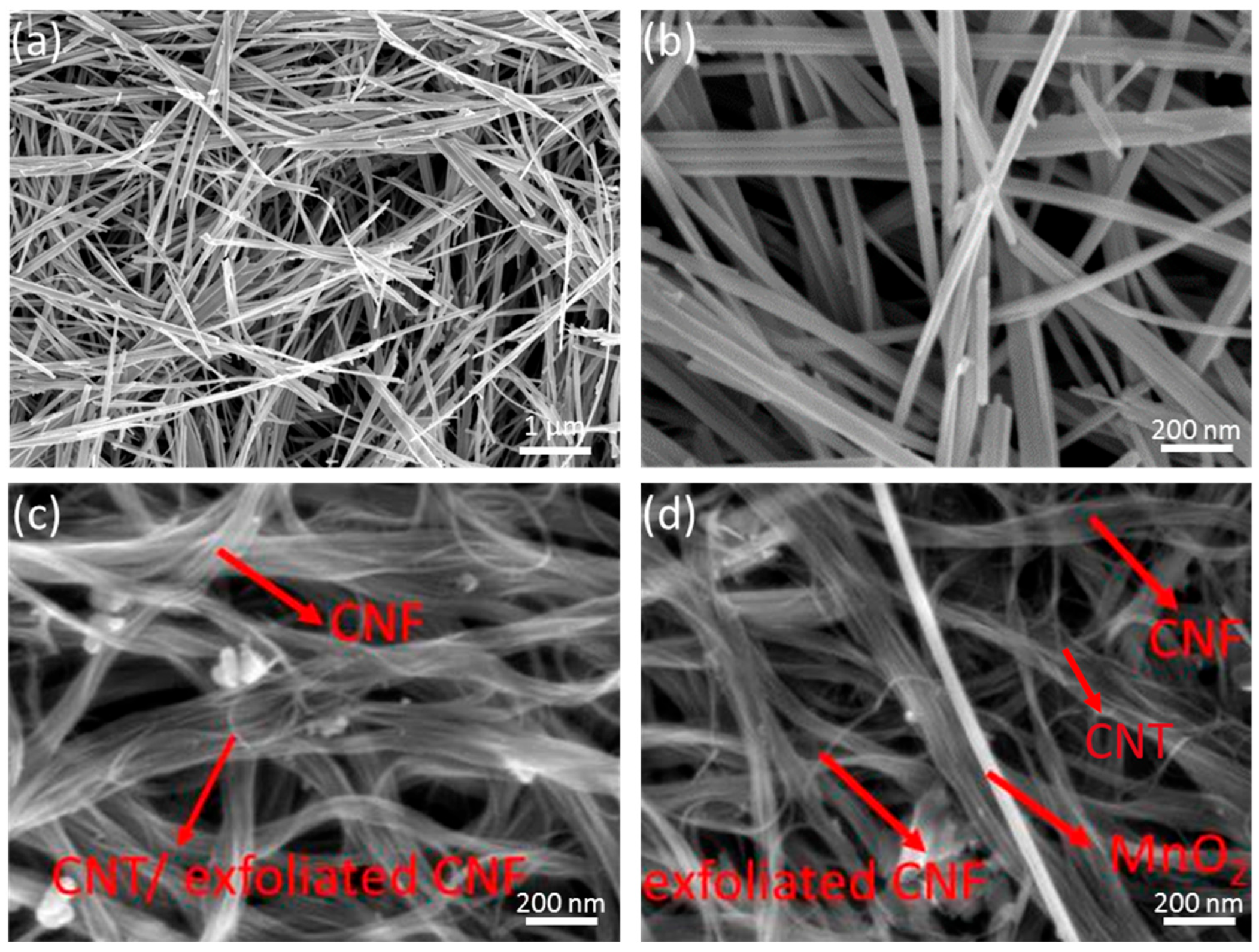 Polymers 15 03758 g003