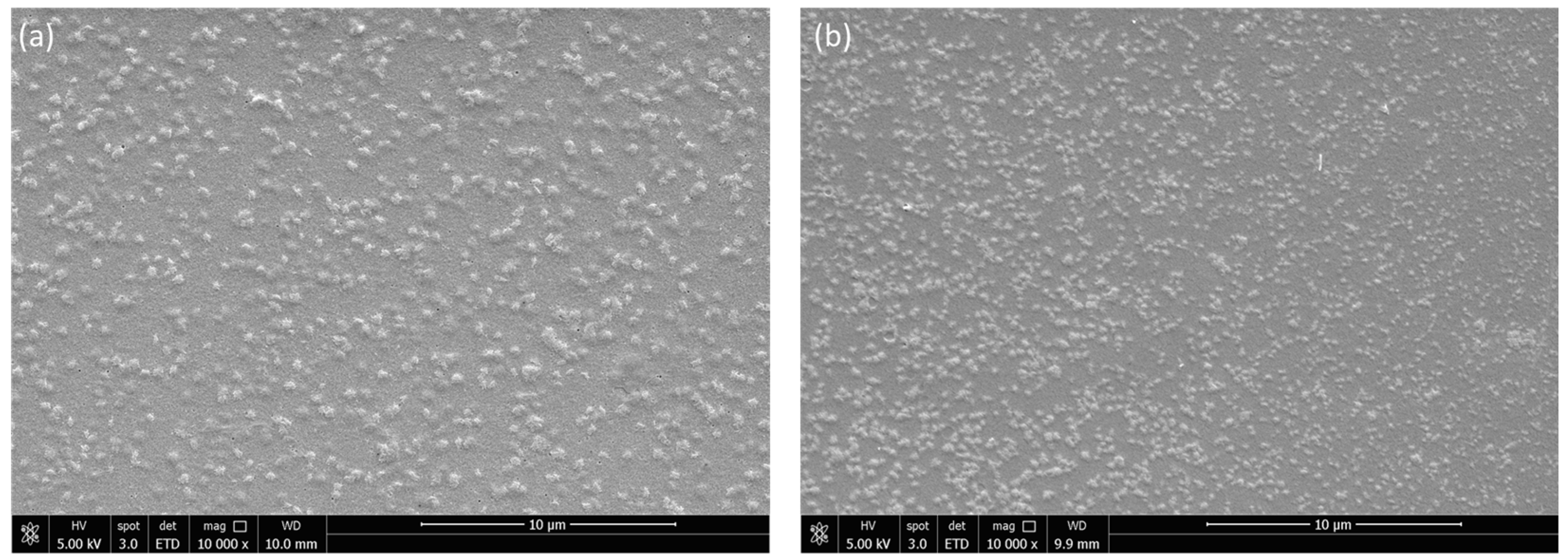 Polymers 15 03759 g002
