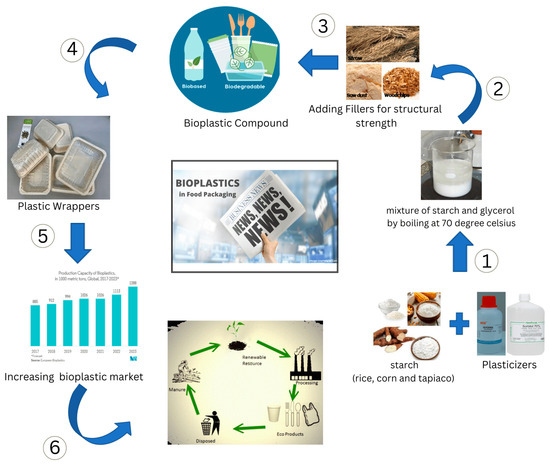 Biodegradable packaging as an alternative to single-use plastics
