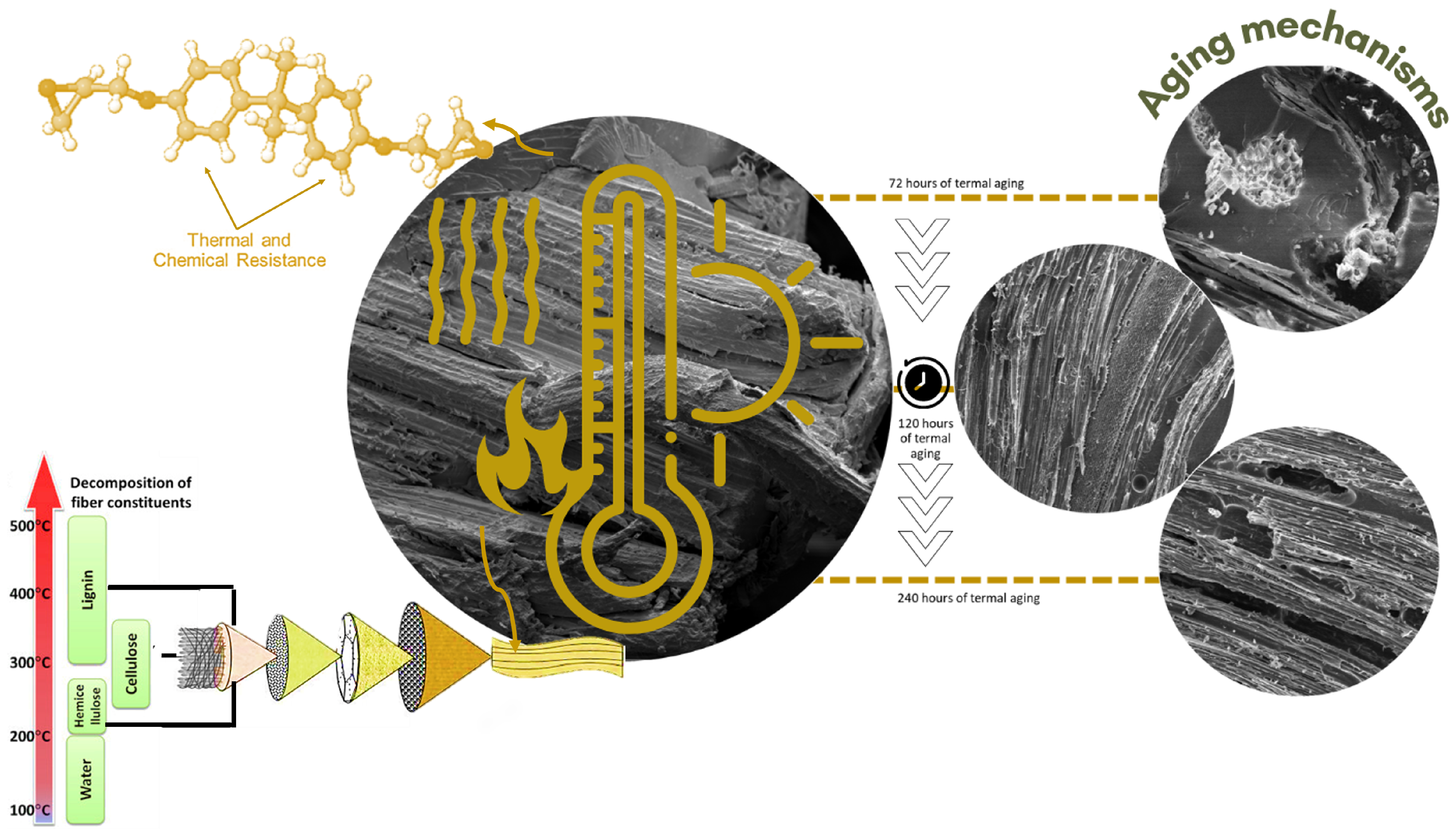 Polymers 15 03761 g001