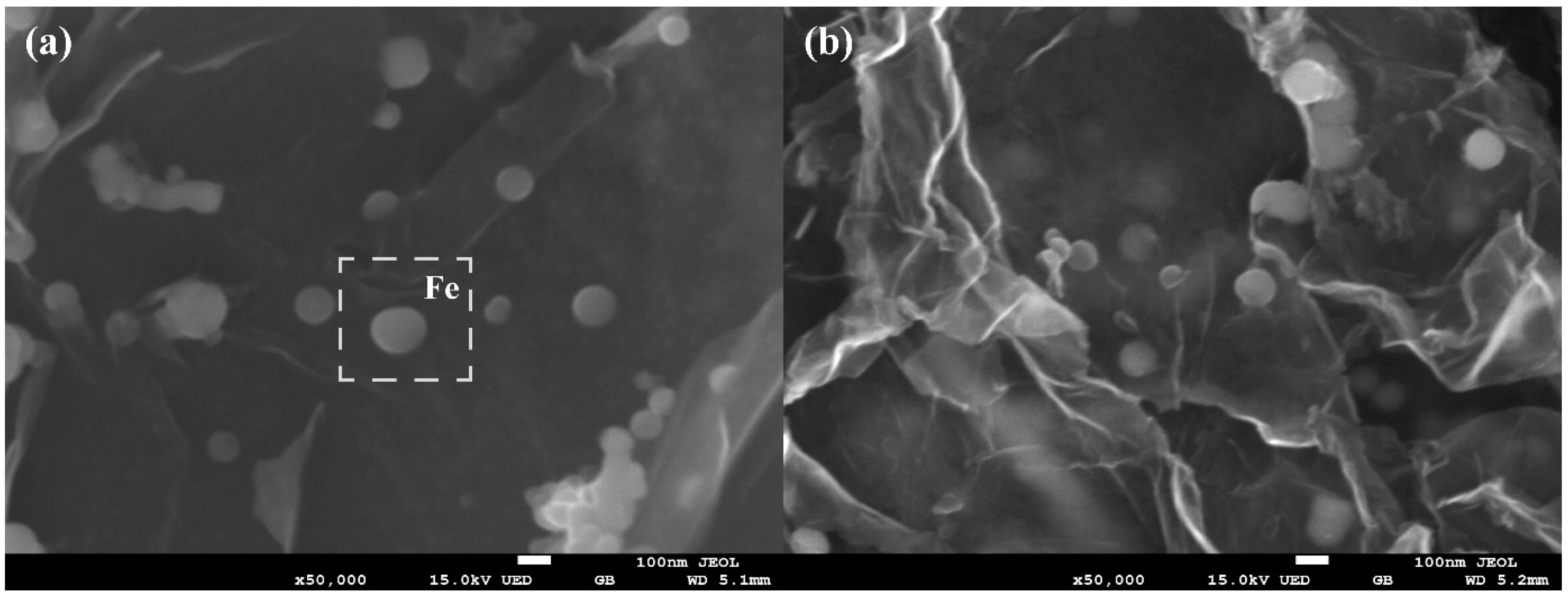 Polymers 15 03764 g002