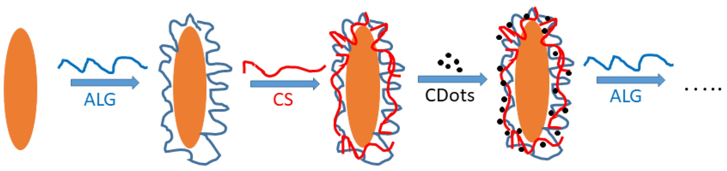 Polymers 15 03766 g001