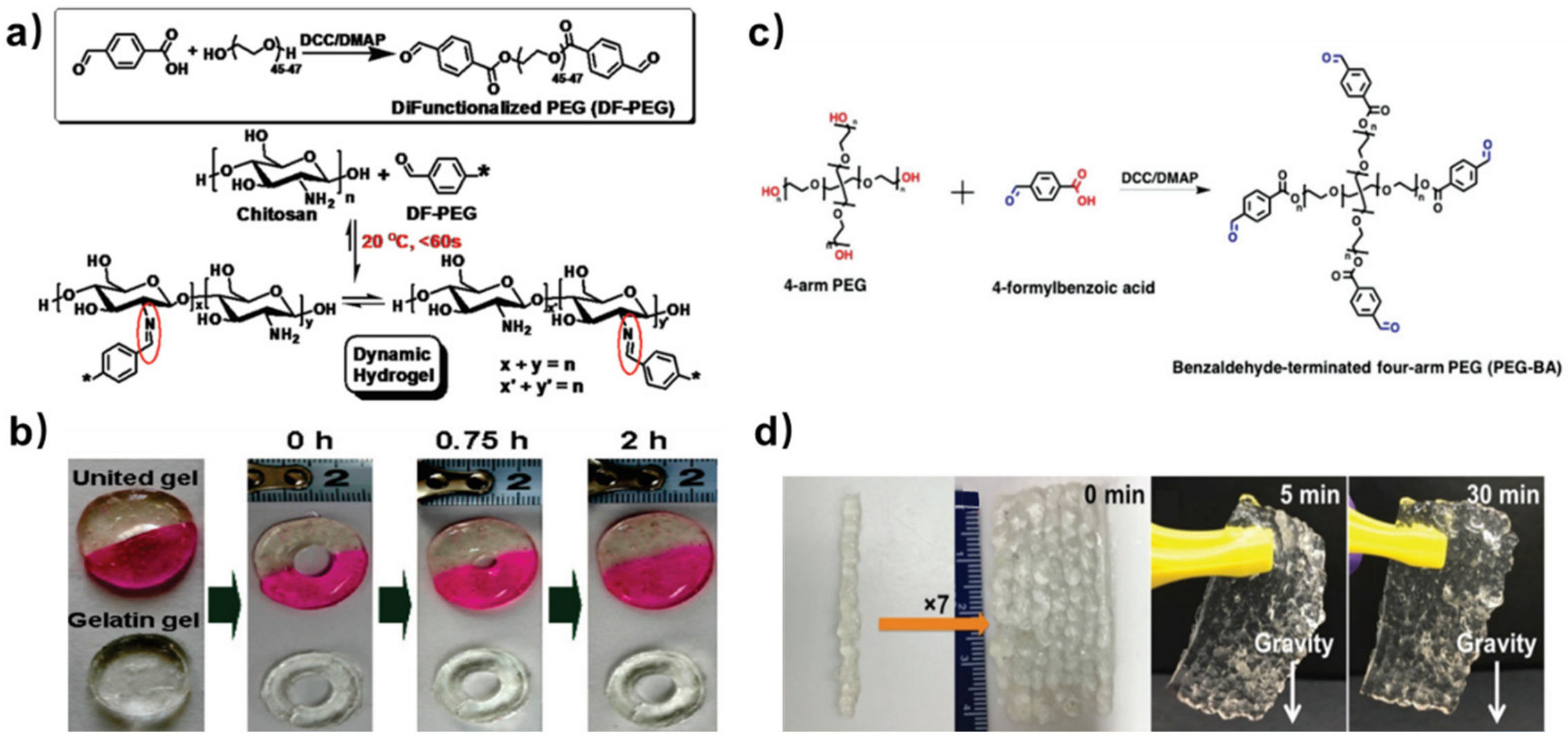 Polymers 15 03768 g001