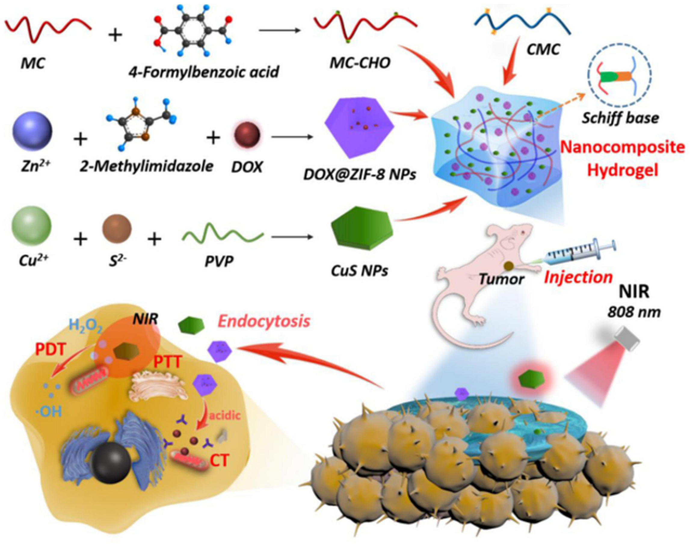 Polymers 15 03768 g010