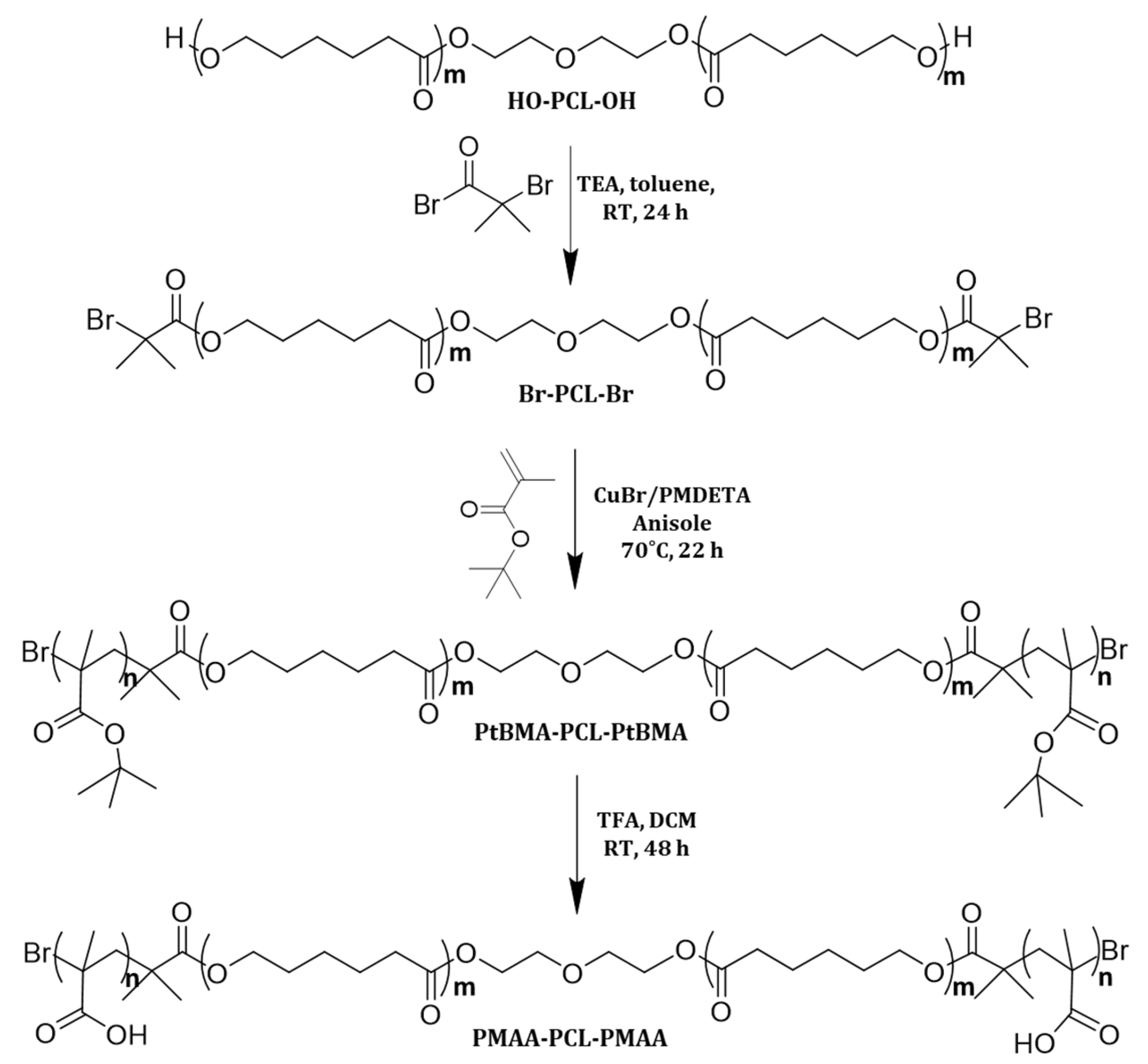 Polymers 15 03769 g001