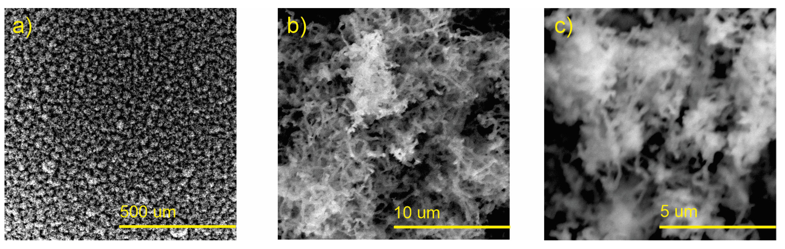 Polymers 15 03772 g003 Polymers 15 03772 g003