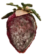 Polymers 15 03772 i010 Polymers 15 03772 i010