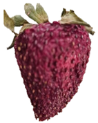 Polymers 15 03772 i011 Polymers 15 03772 i011