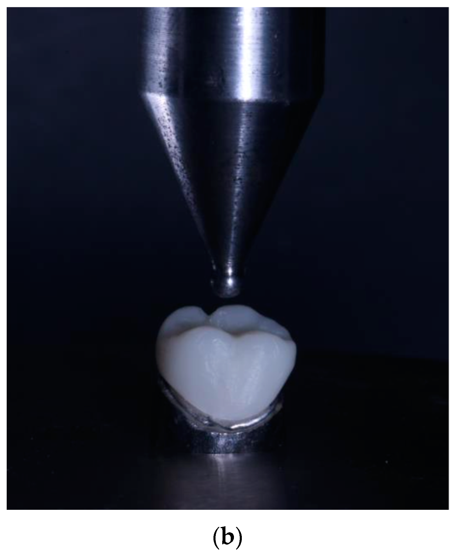 Polymers 15 03773 g003b