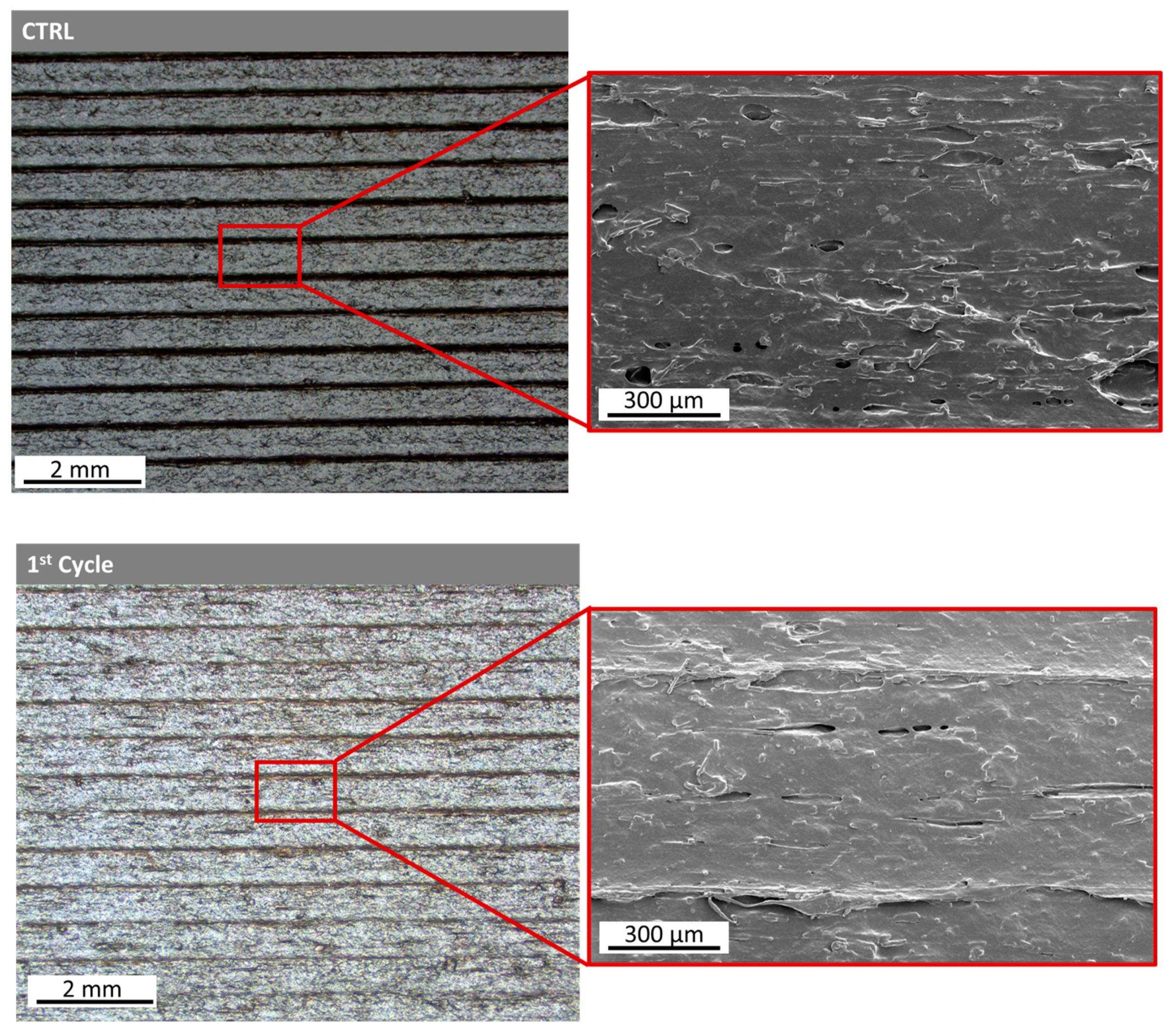 Polymers 15 03775 g009a
