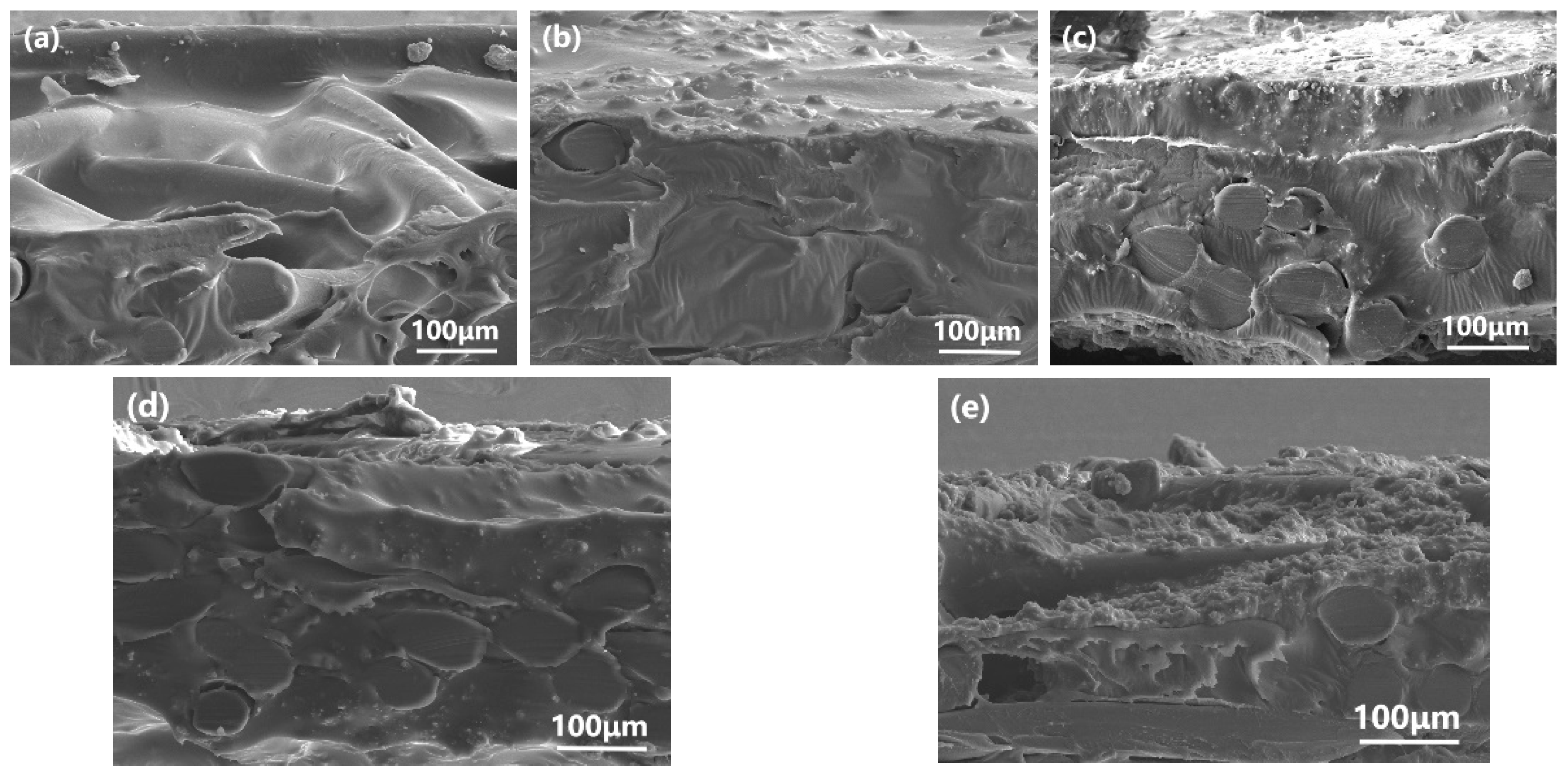 Polymers 15 03777 g012