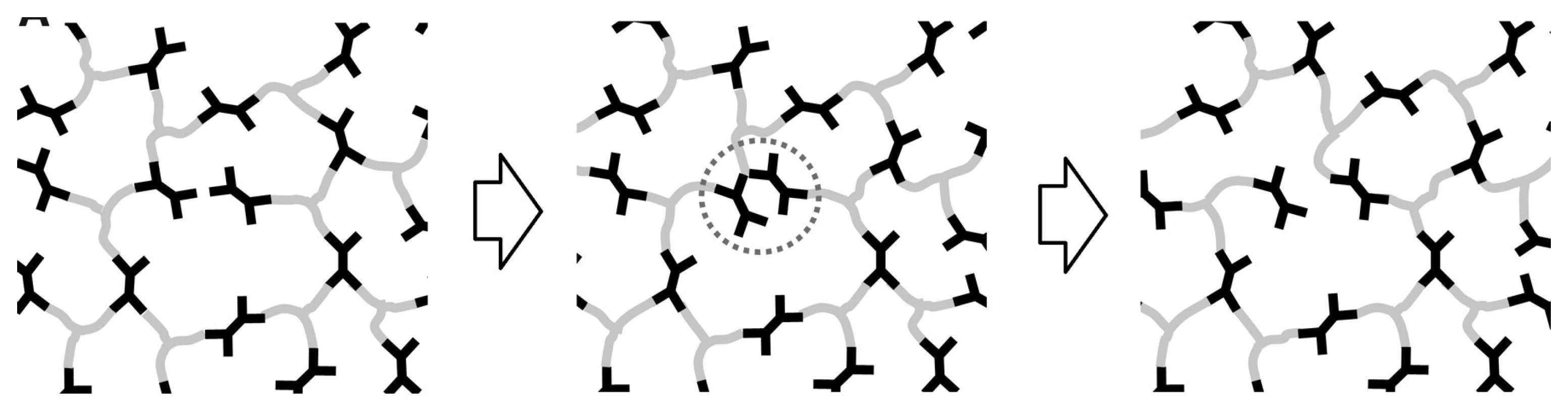 Polymers 15 03780 g002