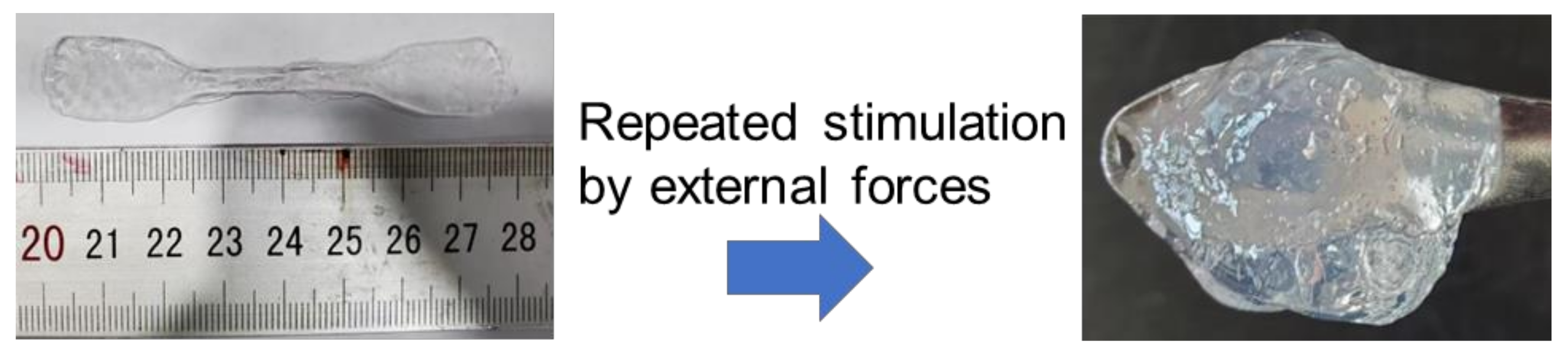 Polymers 15 03782 g002