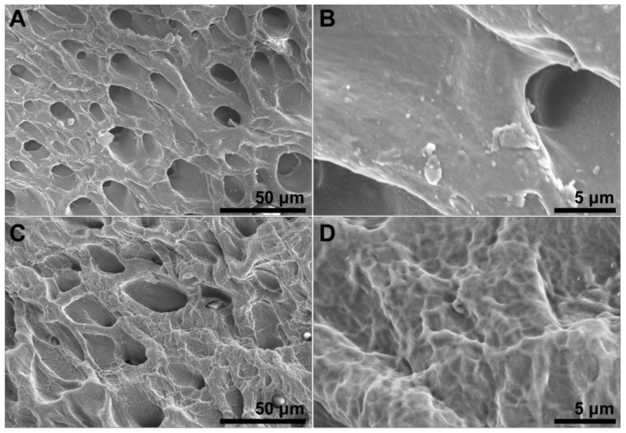 Polymers 15 03782 g005