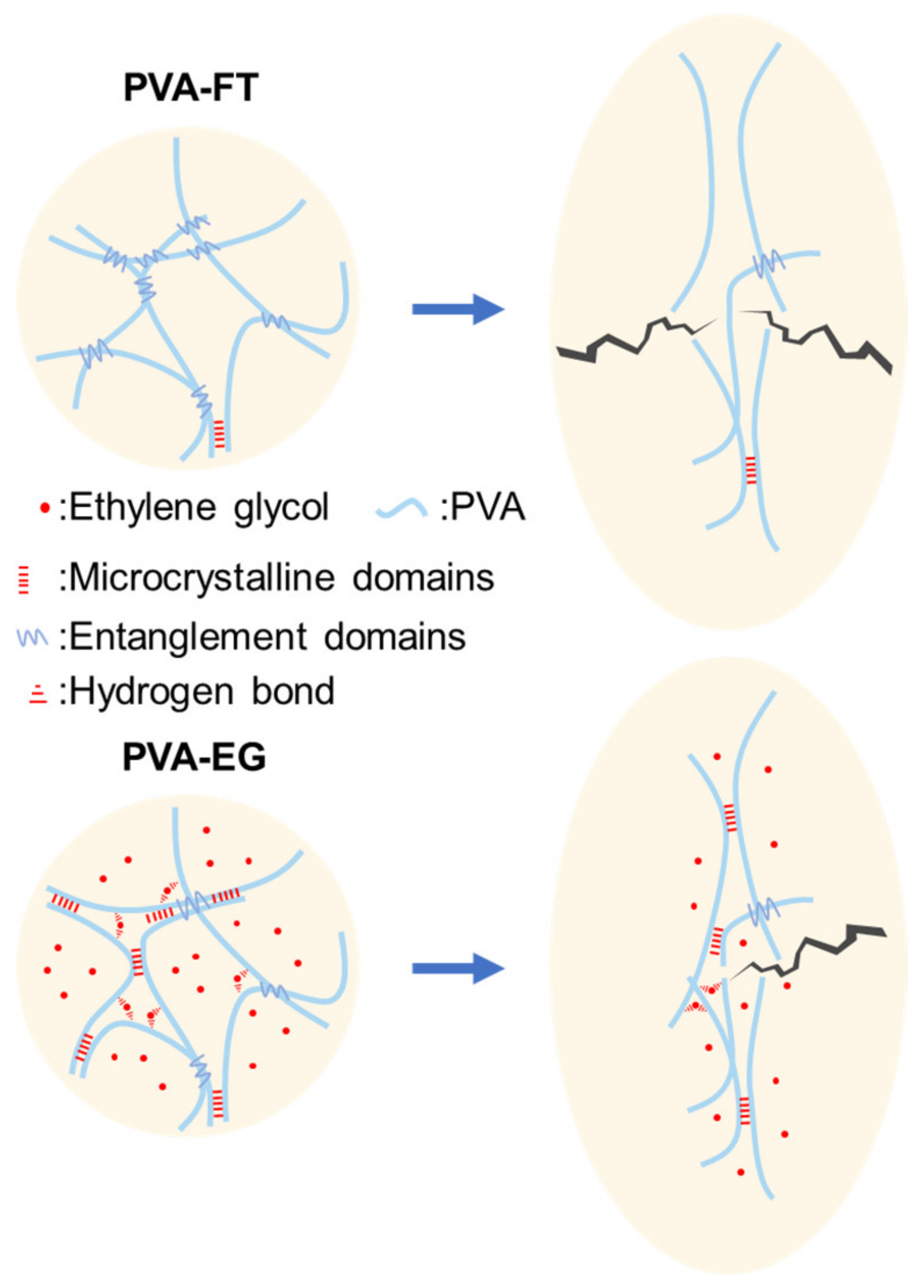 Polymers 15 03782 g010