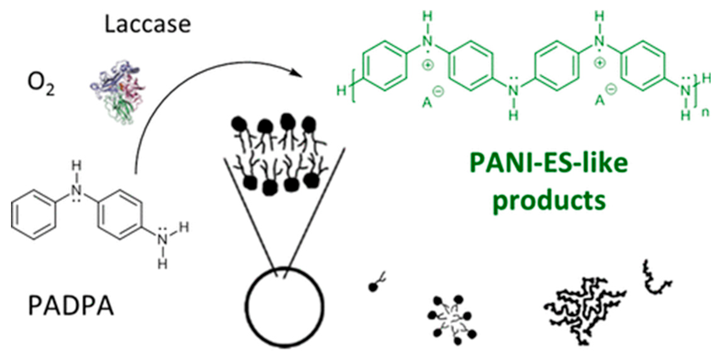 Polymers 15 03783 g012