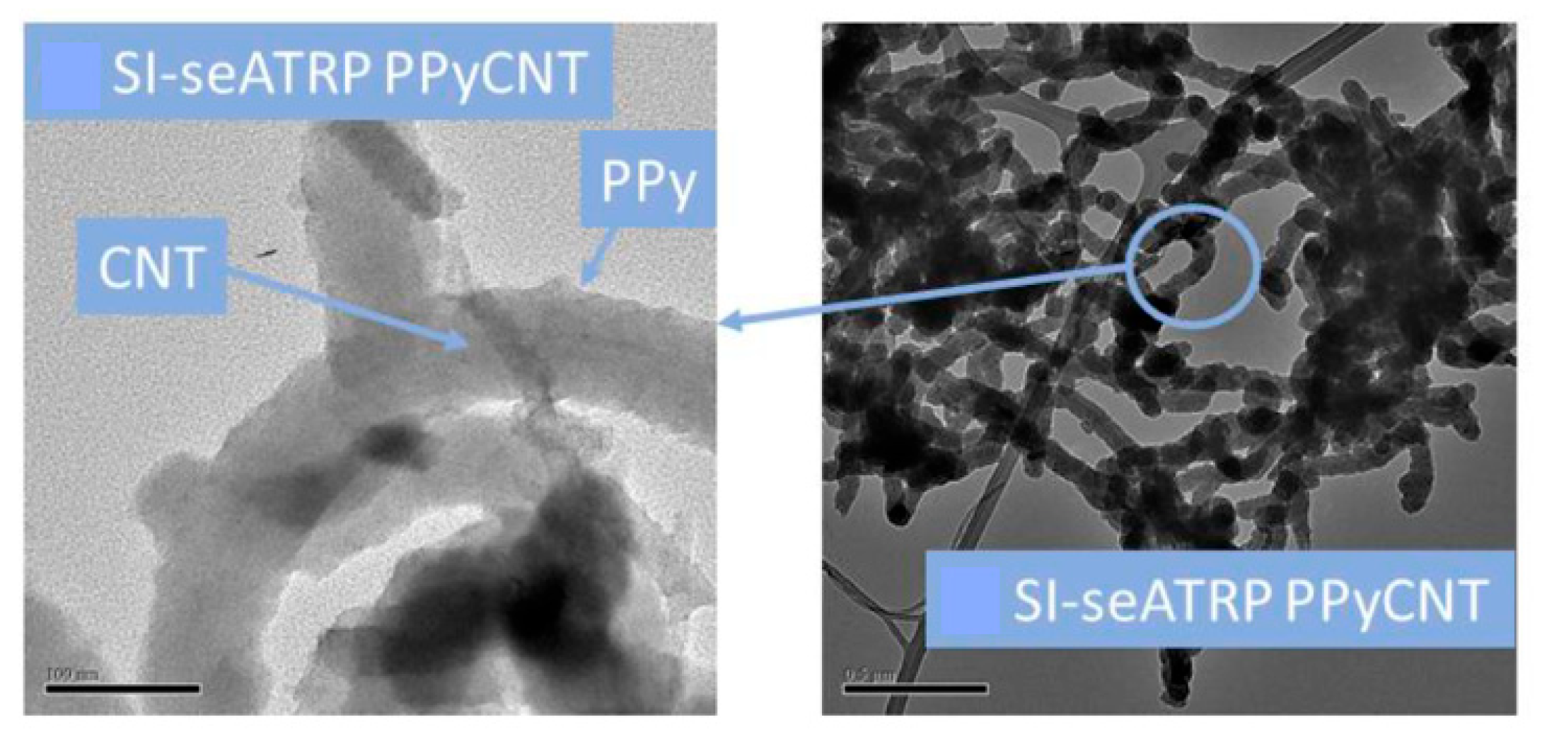 Polymers 15 03783 g015