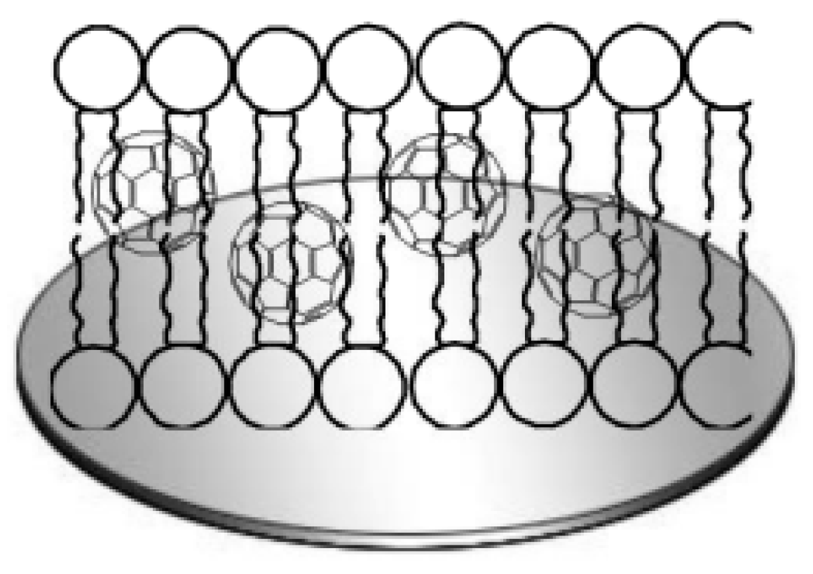 Polymers 15 03783 g020