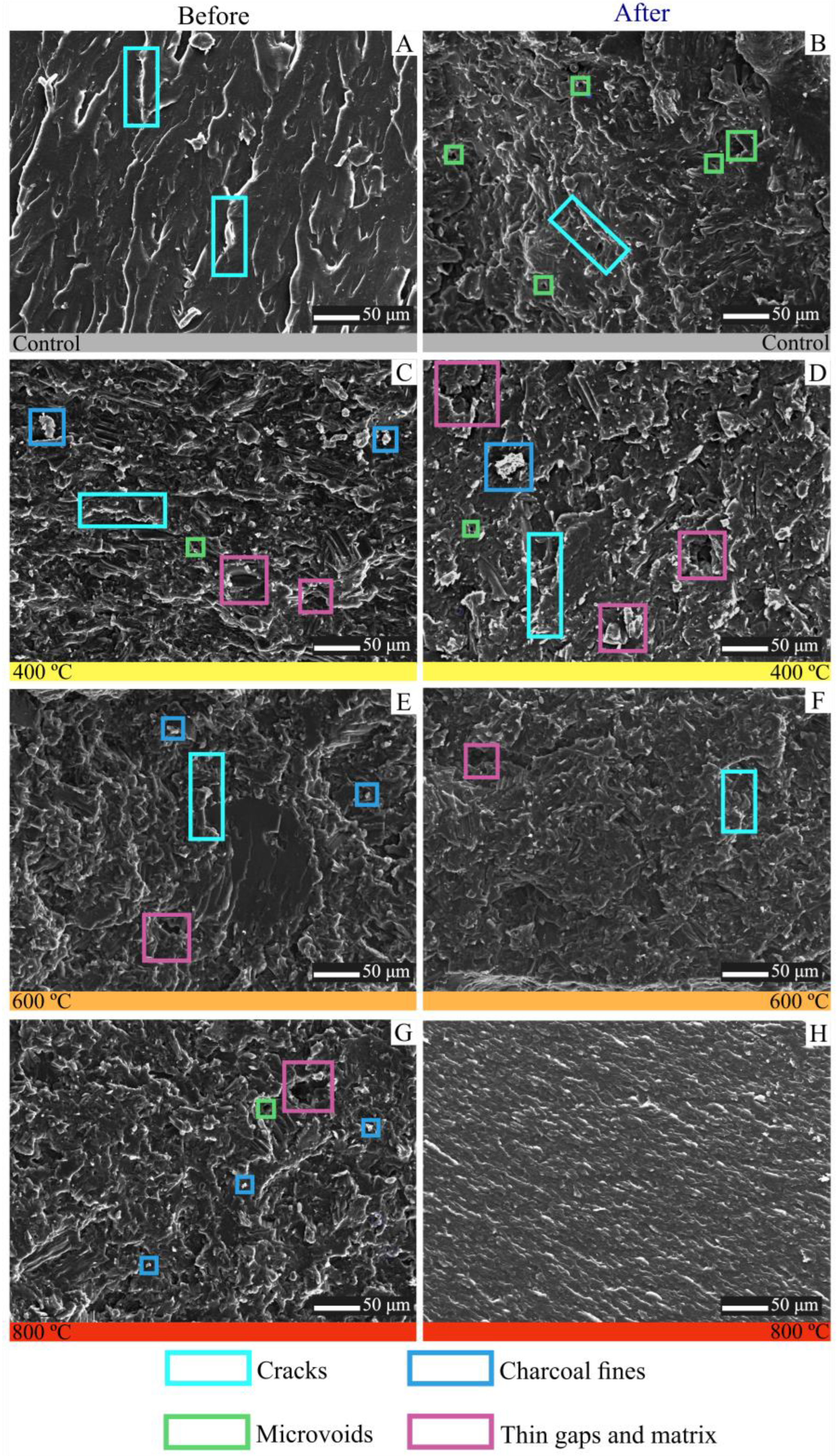 Polymers 15 03788 g004