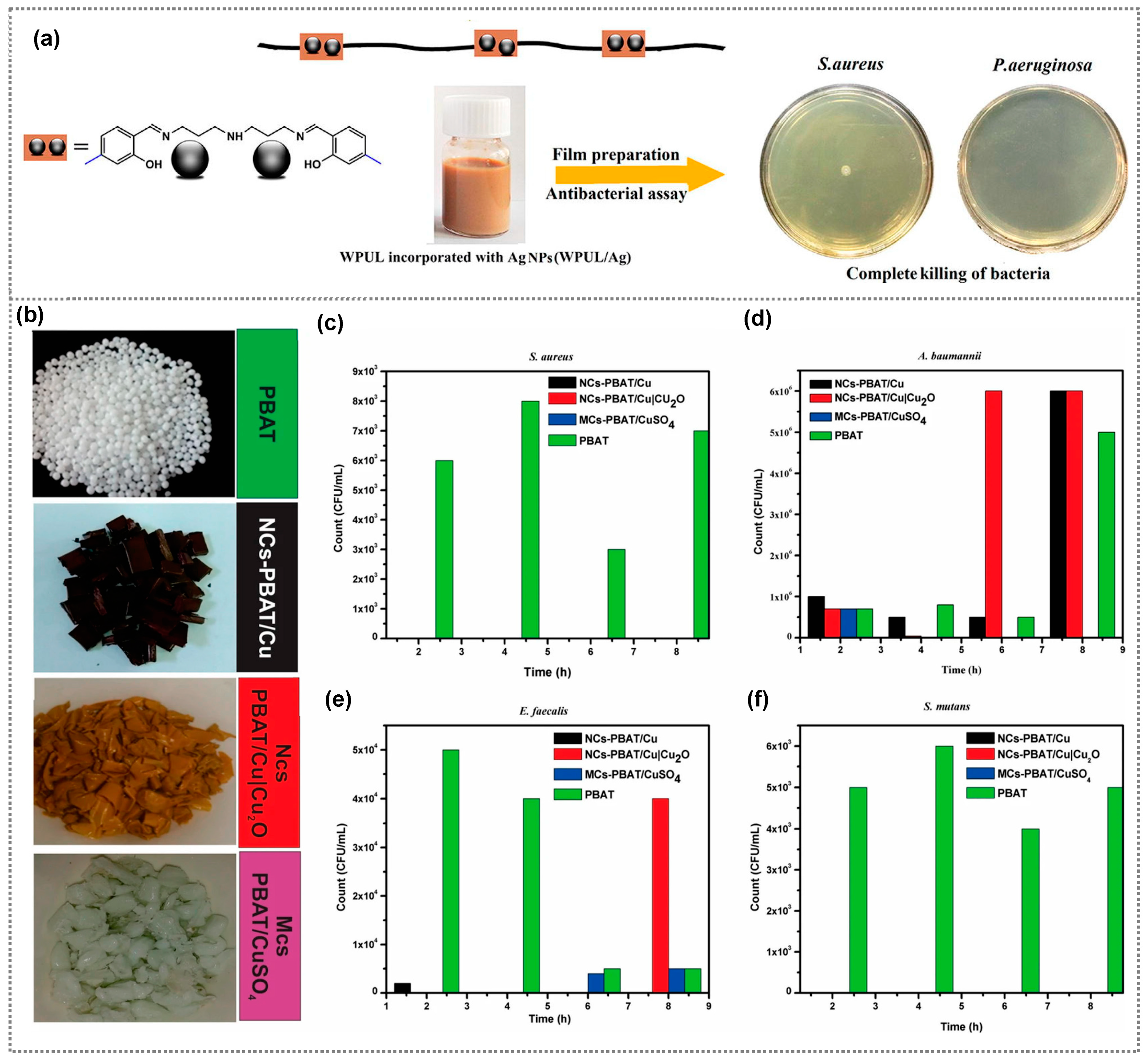Polymers 15 03791 g002