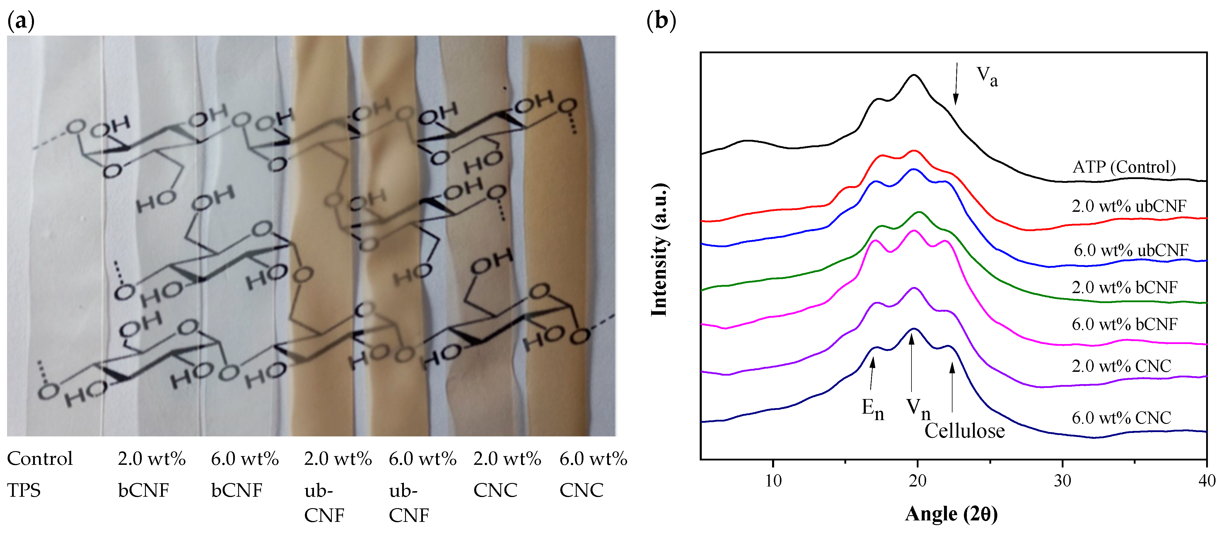 Polymers 15 03793 g004