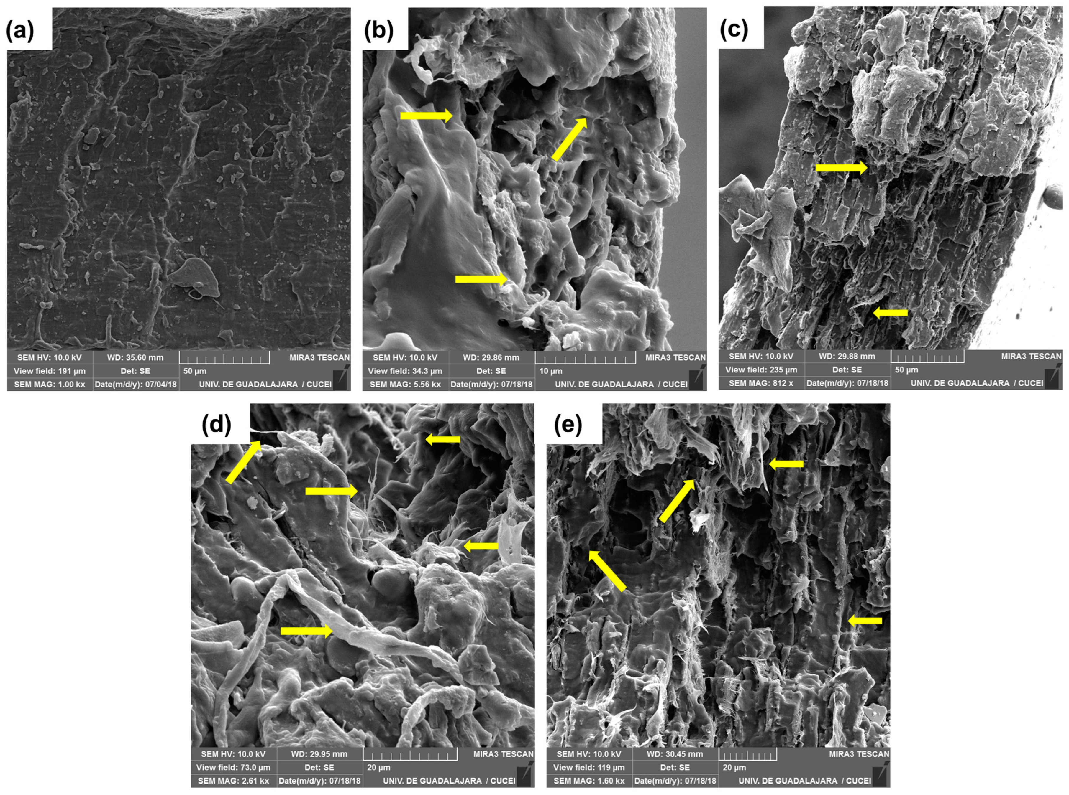 Polymers 15 03793 g008