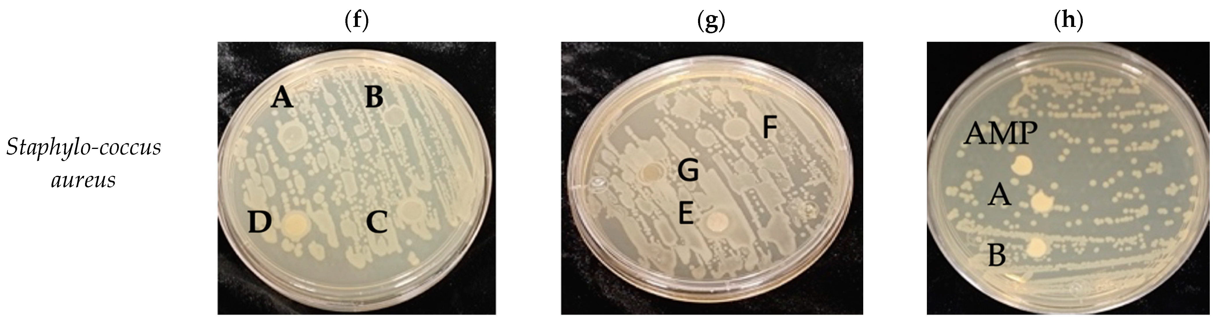 Polymers 15 03793 g009b